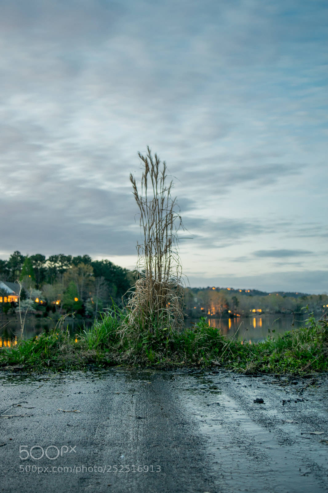 Nikon D3300 sample photo. Grass over a lake photography
