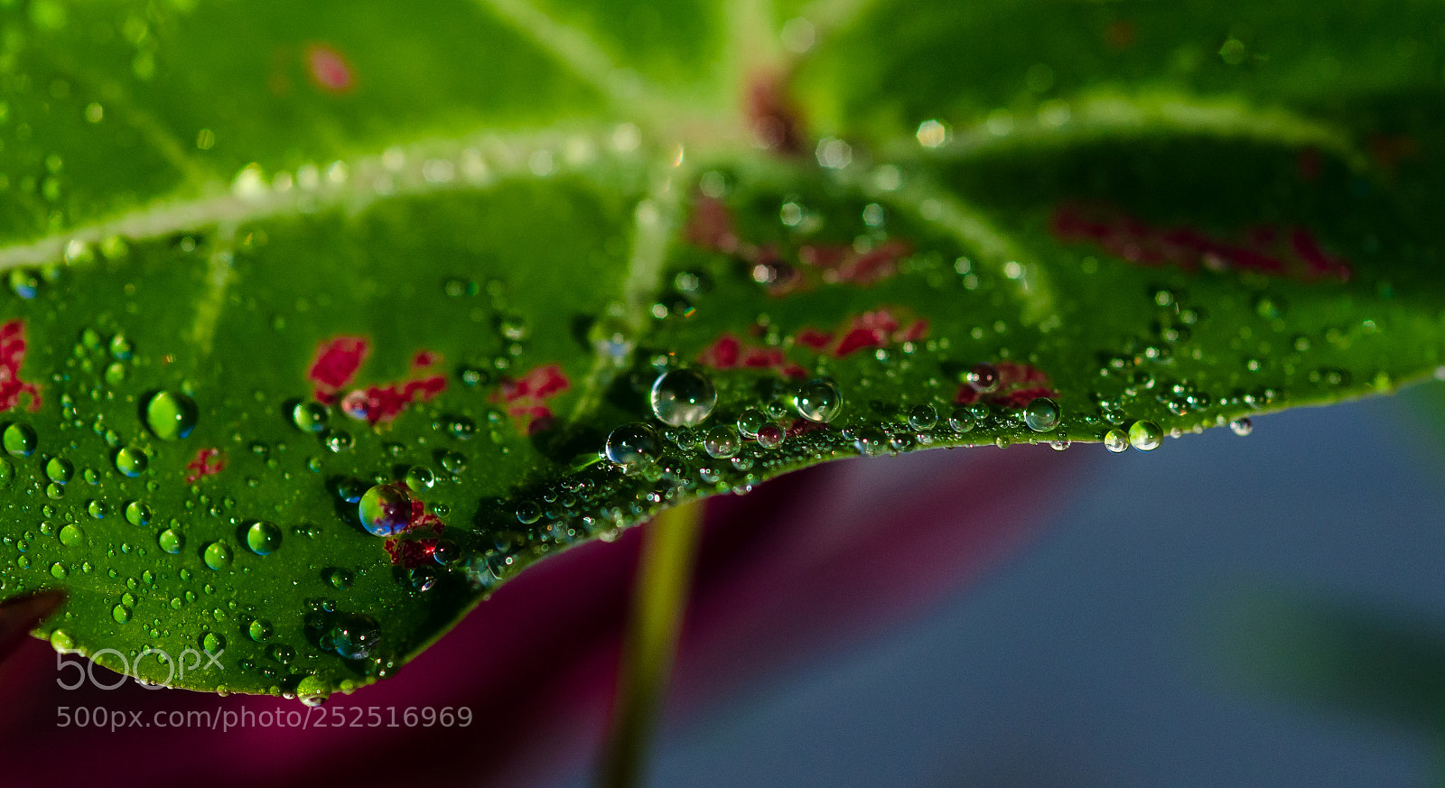 Nikon D7000 sample photo. Thin edge photography