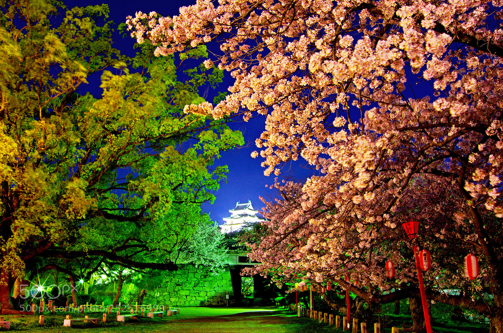 Pentax K-5 IIs sample photo. A castle and cherry photography