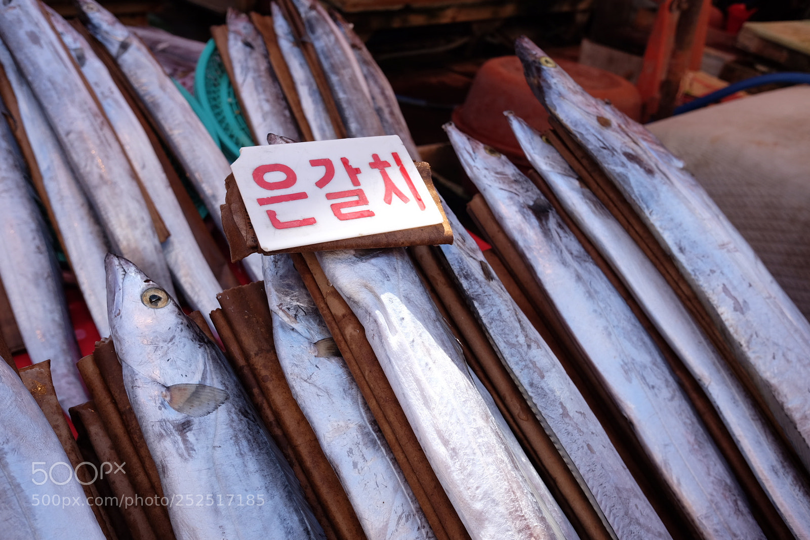 Fujifilm X70 sample photo. Untitled photography
