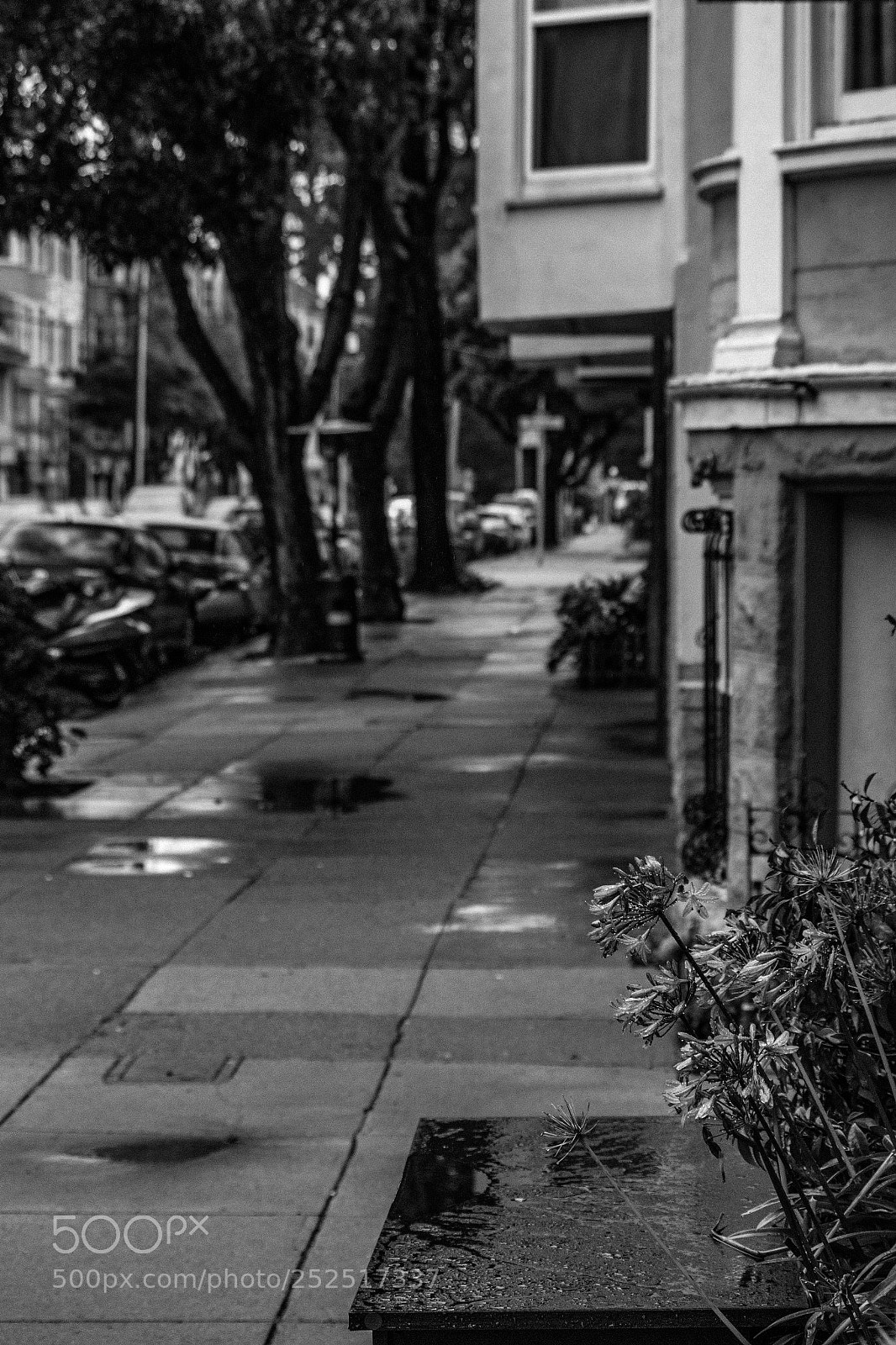 Pentax K-S2 sample photo. Sidewalk photography