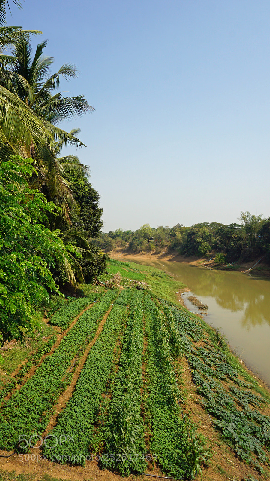 Sony a6000 sample photo. Farmland at tonle sap photography