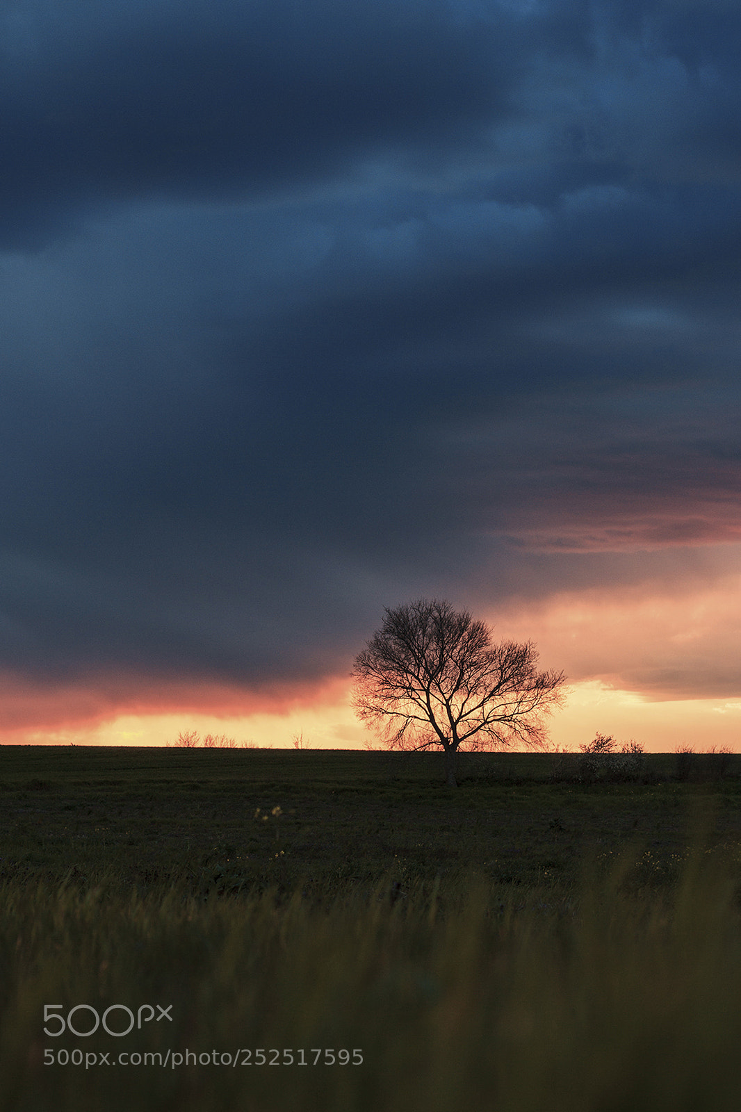 Canon EOS 60D sample photo. Evening calmness photography