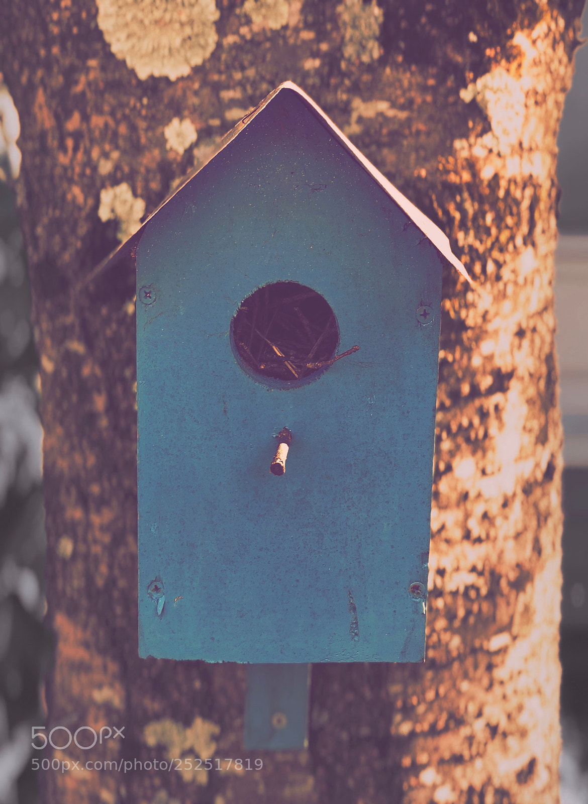Apple iPhone 8 Plus sample photo. Birdhouse  photography
