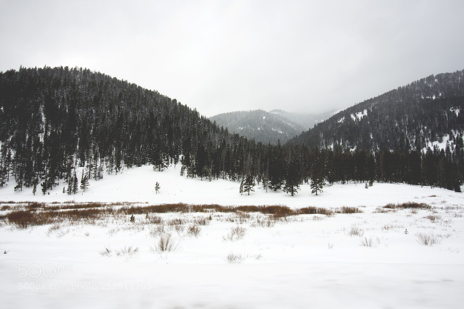 Canon EOS 650D (EOS Rebel T4i / EOS Kiss X6i) sample photo. The rockies photography