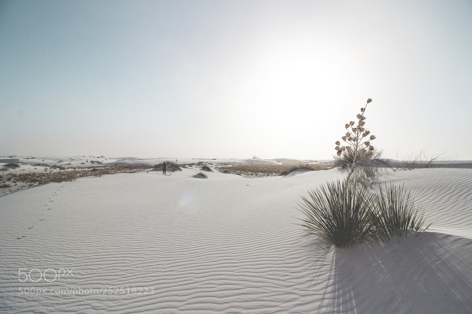 Canon EOS 650D (EOS Rebel T4i / EOS Kiss X6i) sample photo. White sands np photography