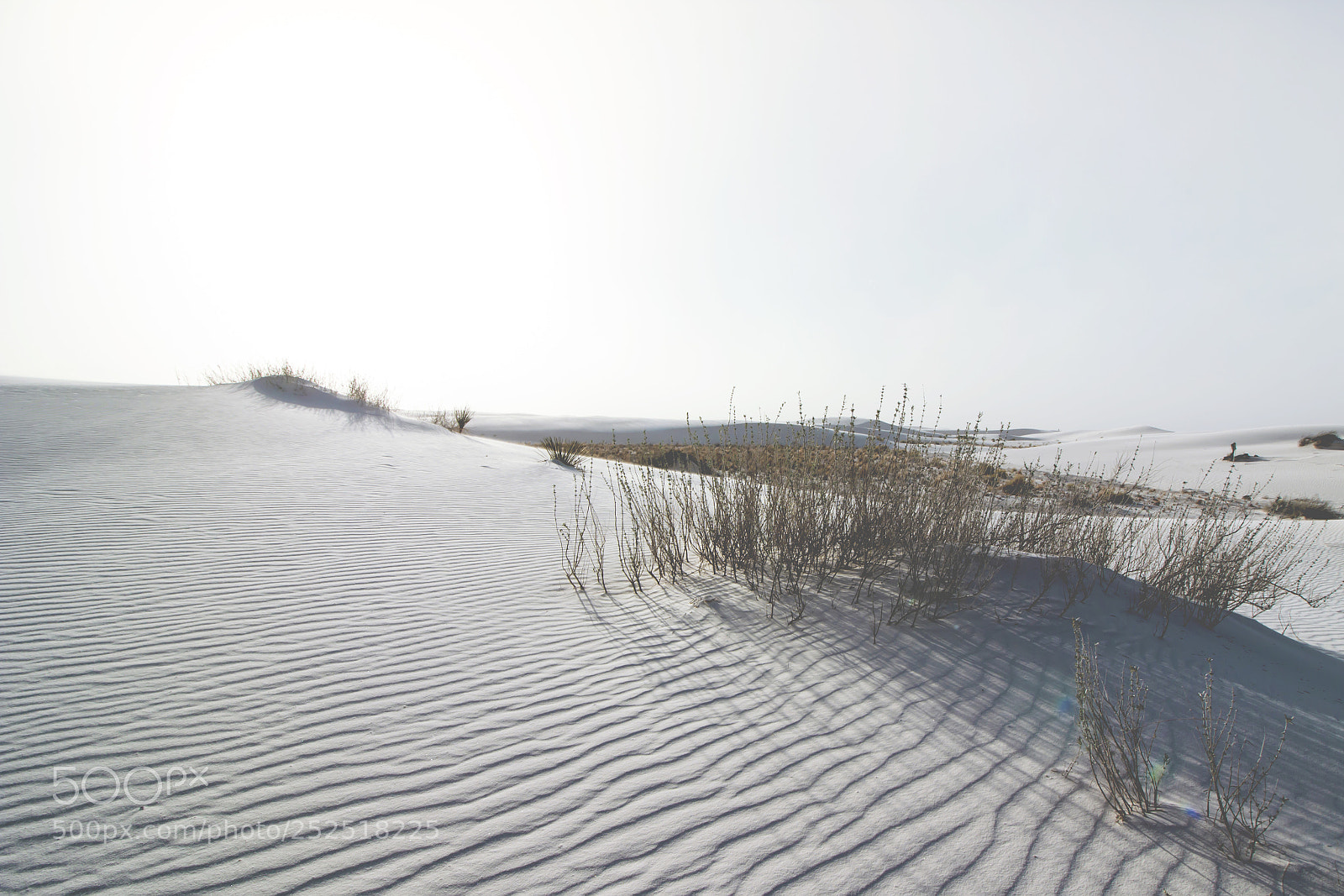 Canon EOS 650D (EOS Rebel T4i / EOS Kiss X6i) sample photo. White sands np photography