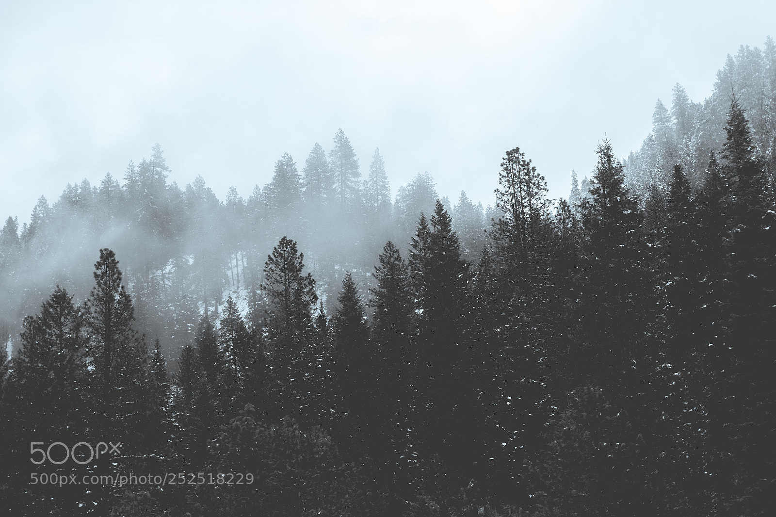 Canon EOS 650D (EOS Rebel T4i / EOS Kiss X6i) sample photo. Mccall, idaho photography