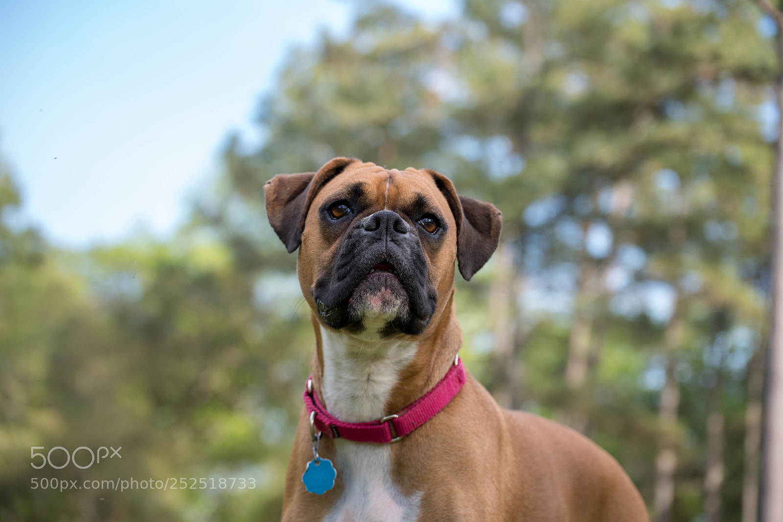 Nikon D810 sample photo. Untitled photography