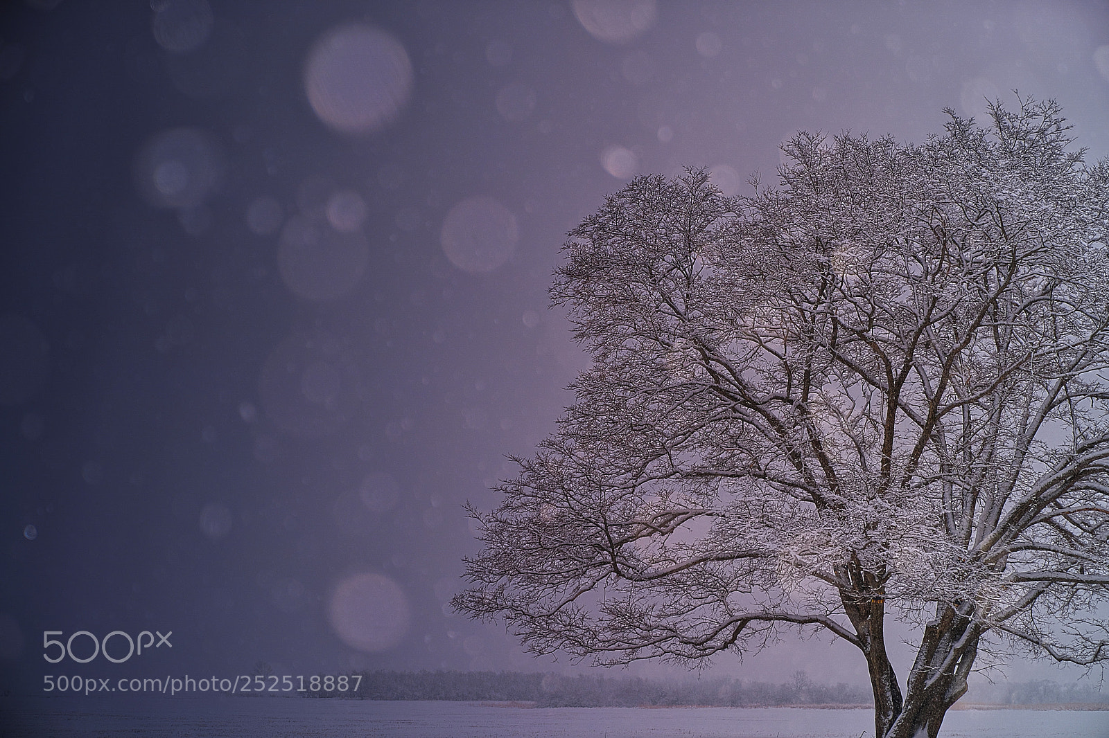 Sony a9 sample photo. April snow ll photography