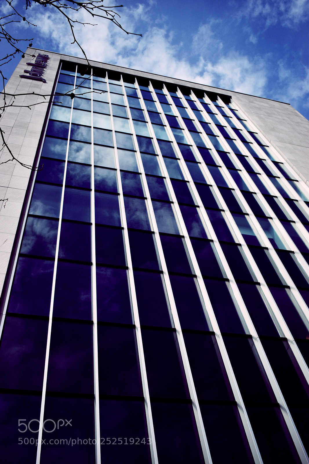 Nikon D5600 sample photo. Mirror to the sky photography