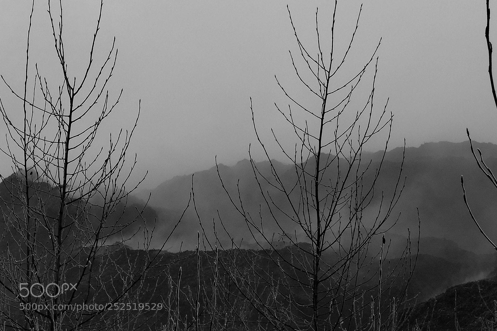 Panasonic Lumix DMC-LX7 sample photo. B&w photography