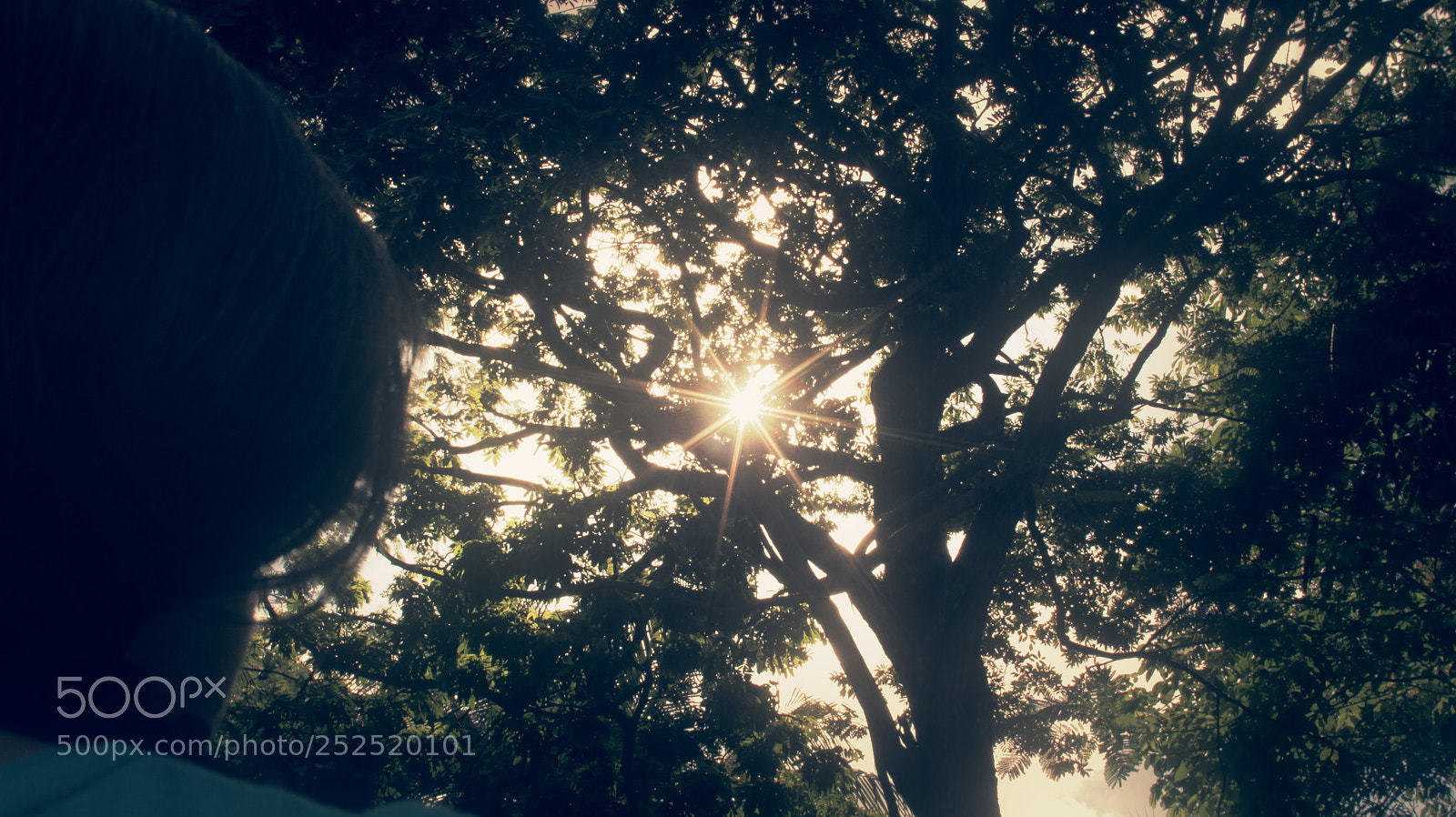 Canon EOS 60D sample photo. "her" photography