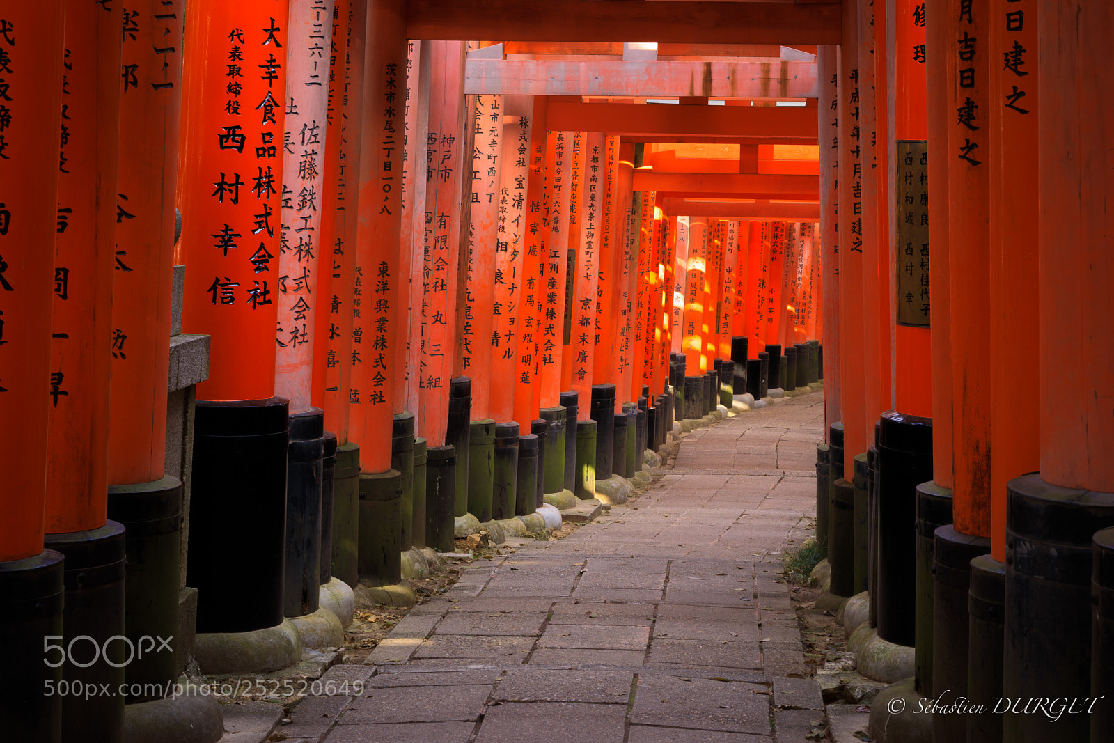 Canon EOS 5D Mark IV sample photo. Red gate in morning photography