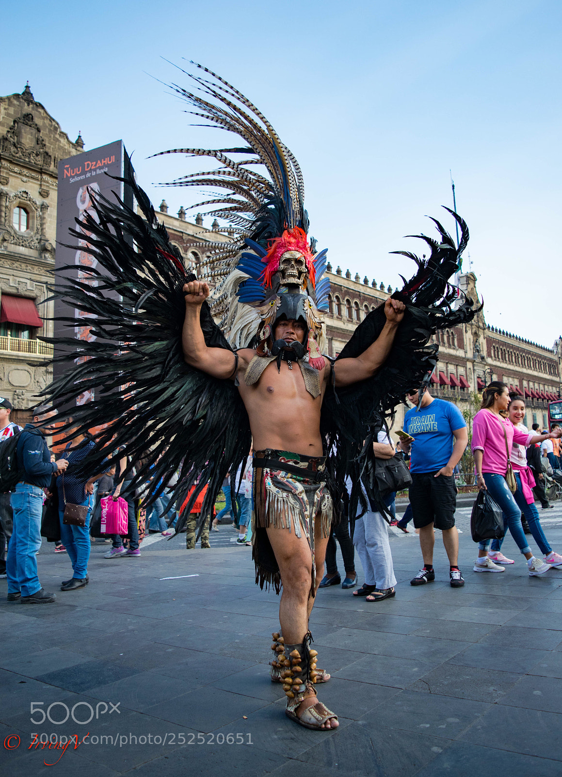 Nikon D5300 sample photo. Spread your wings.... photography