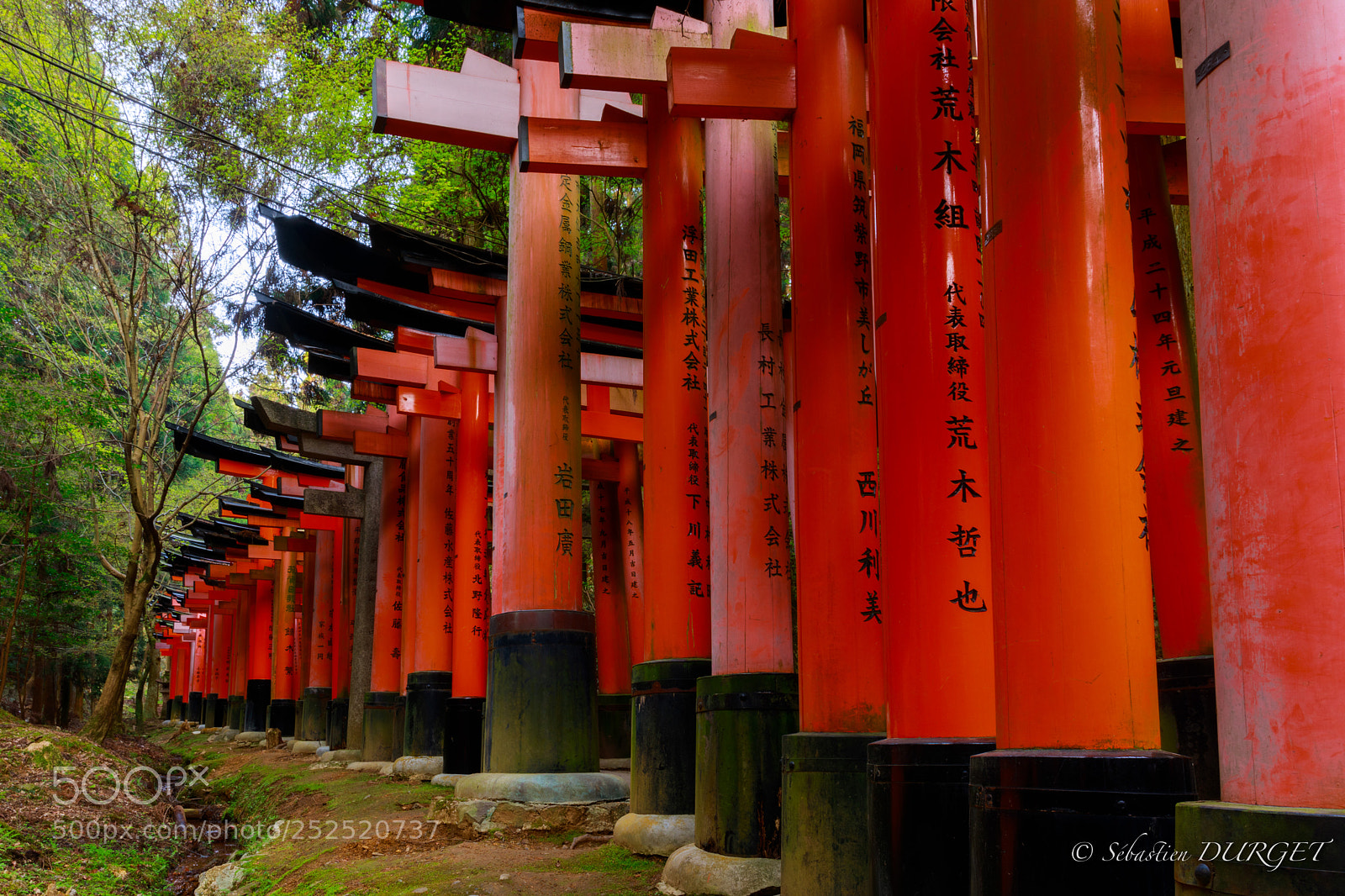 Canon EOS 5D Mark IV sample photo. Fushimini inari taisha photography