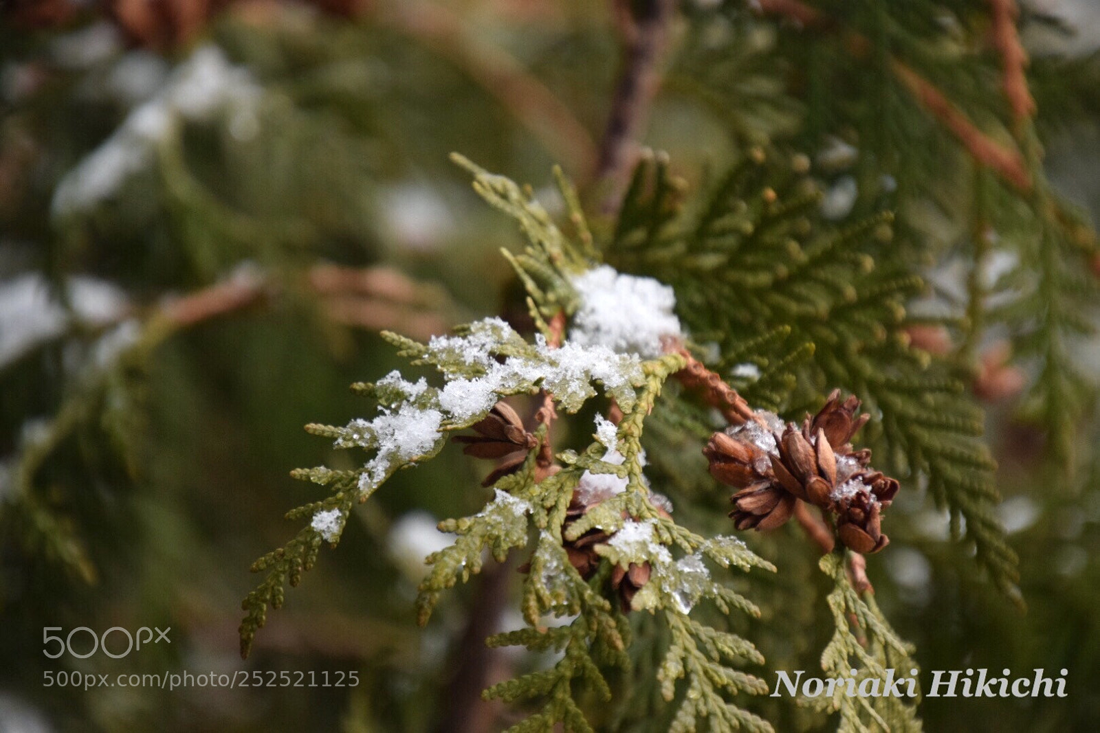 Nikon D5300 sample photo. Untitled photography