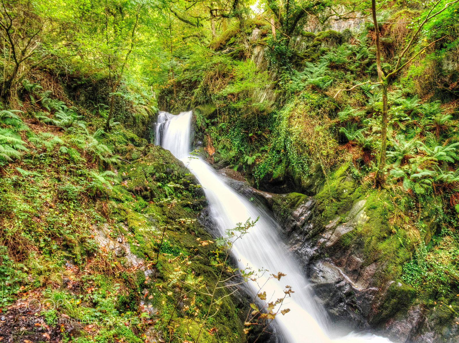 Olympus OM-D E-M1 sample photo. Dolgoch falls at their photography