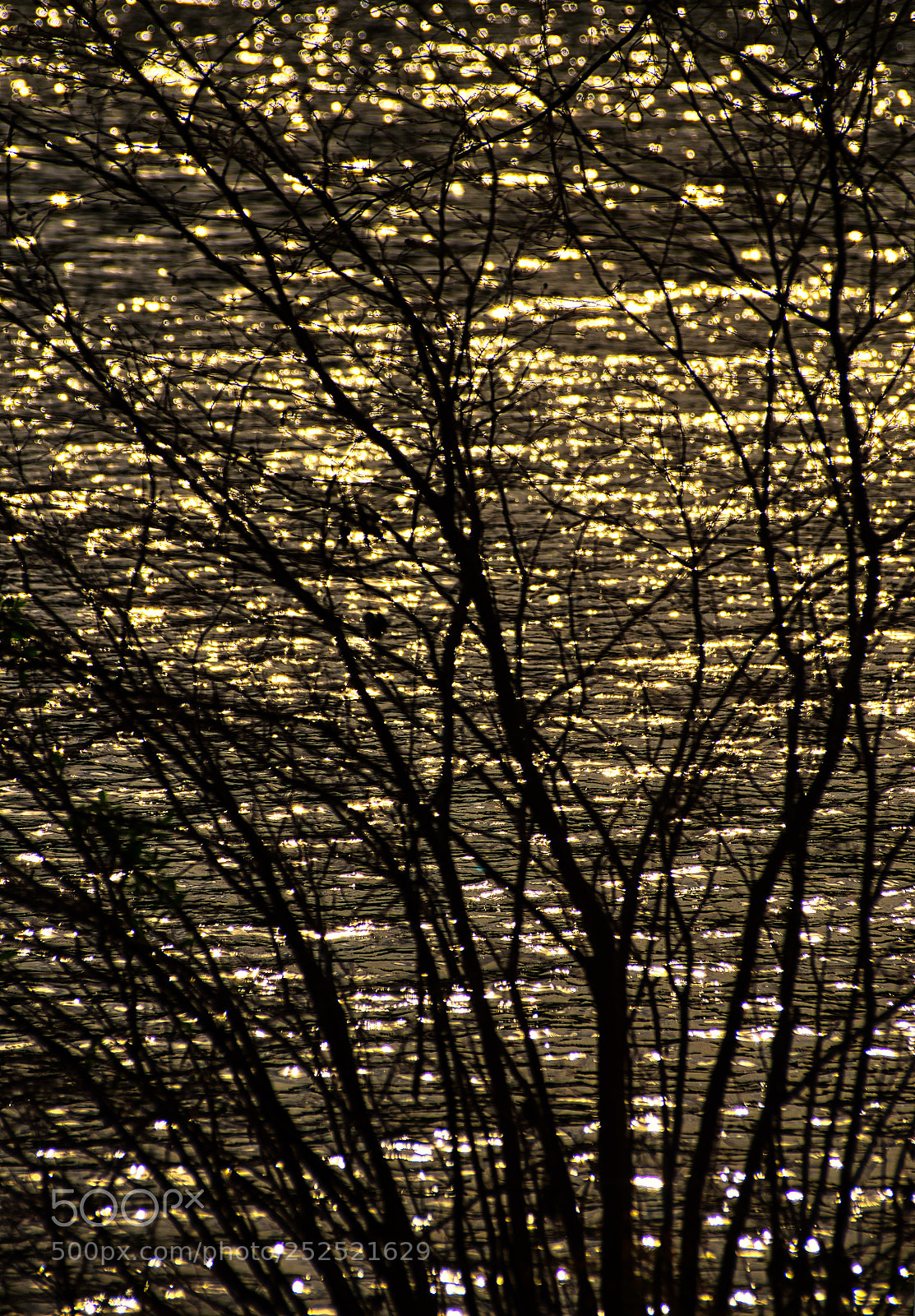 Nikon D7000 sample photo. Glow photography