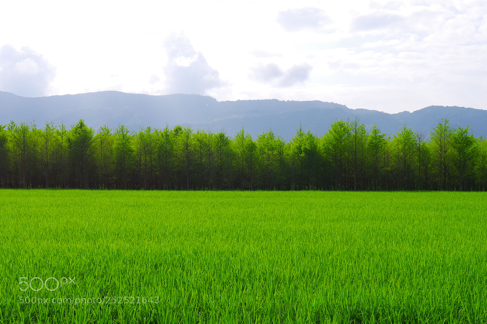 Pentax K-1 sample photo. Road trip 2.0 photography