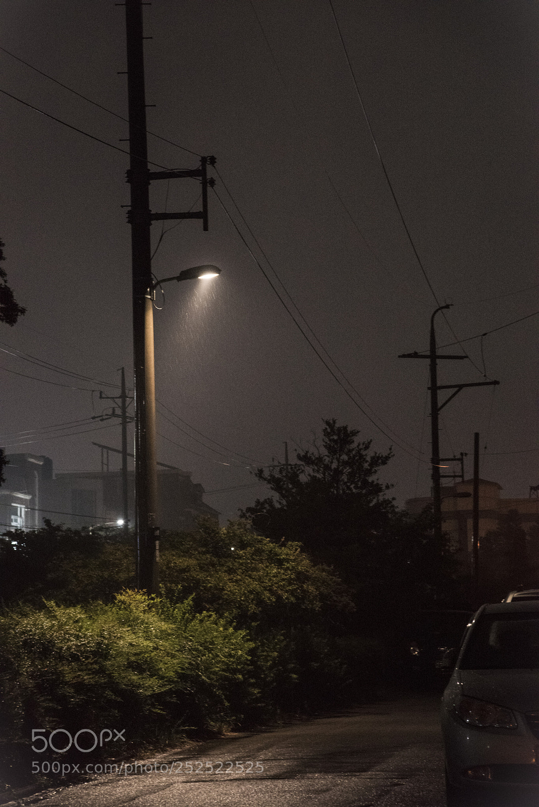 Nikon D810 sample photo. Rainylight photography