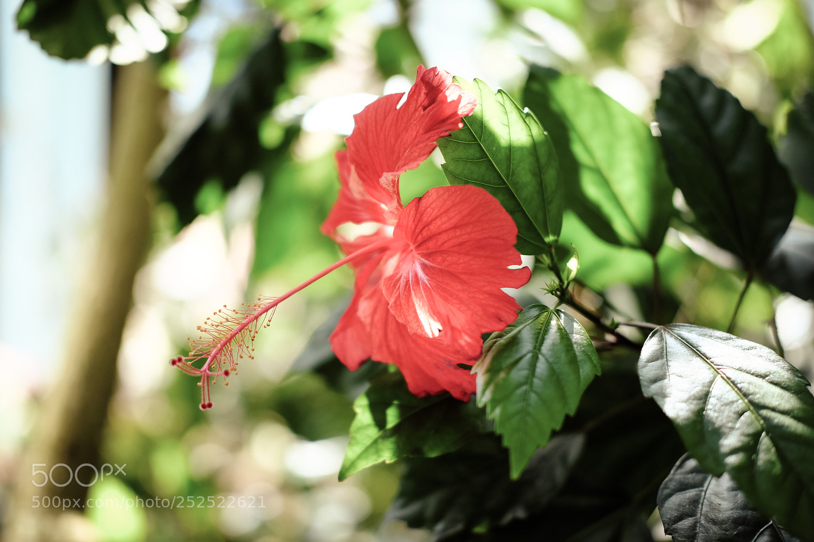 Fujifilm X-Pro2 sample photo. Untitled photography