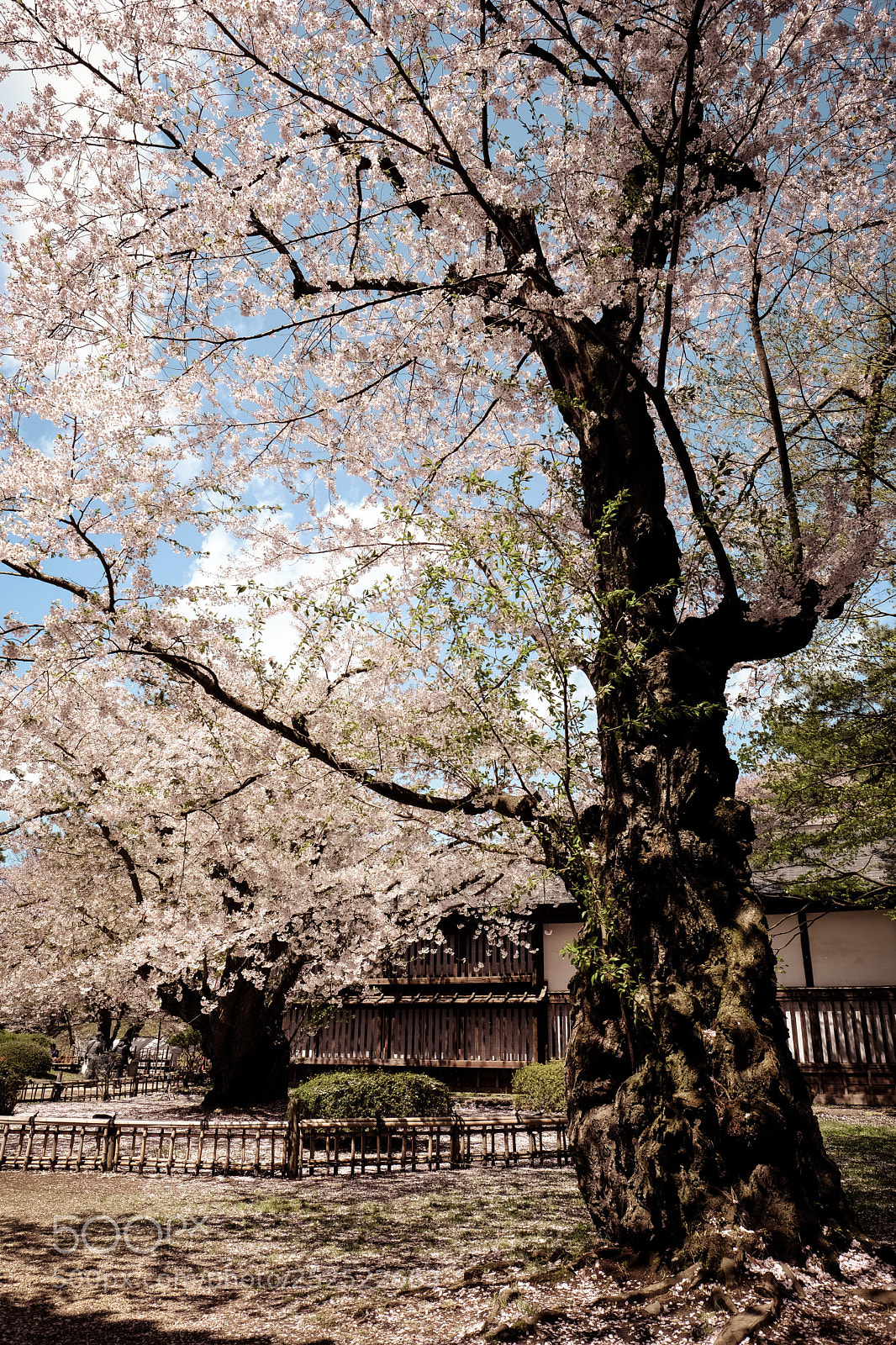 Fujifilm X-Pro2 sample photo. Untitled photography