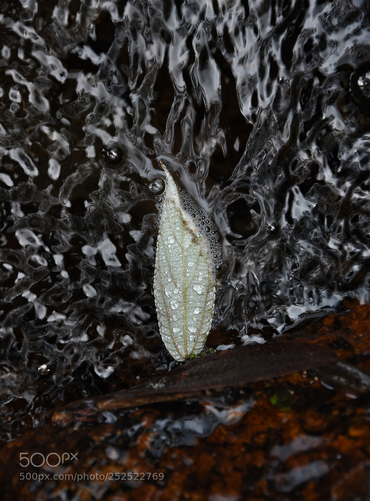 Nikon D7200 sample photo. Abstract photography