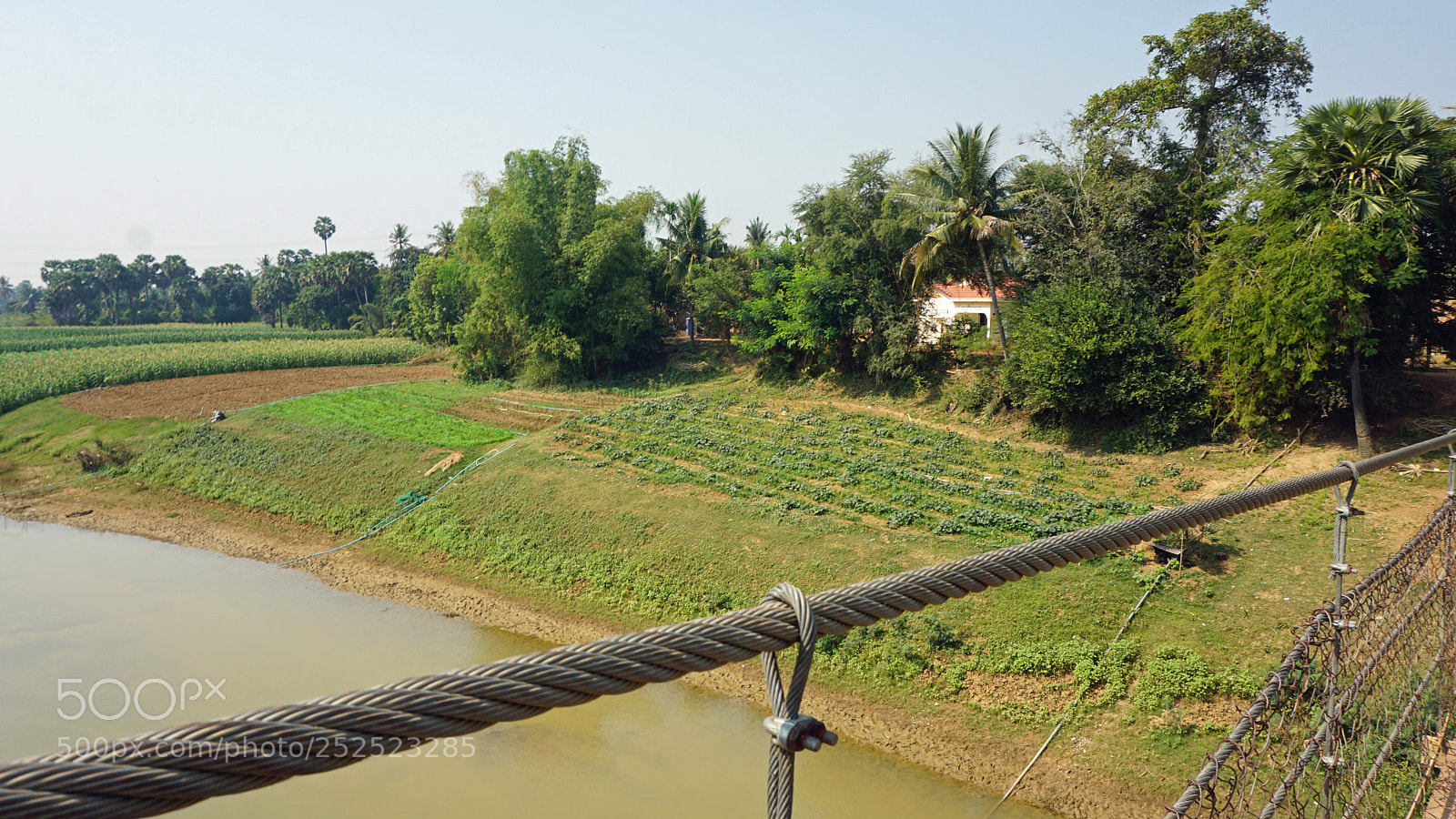 Sony a6000 sample photo. Farmland at tonle sap photography