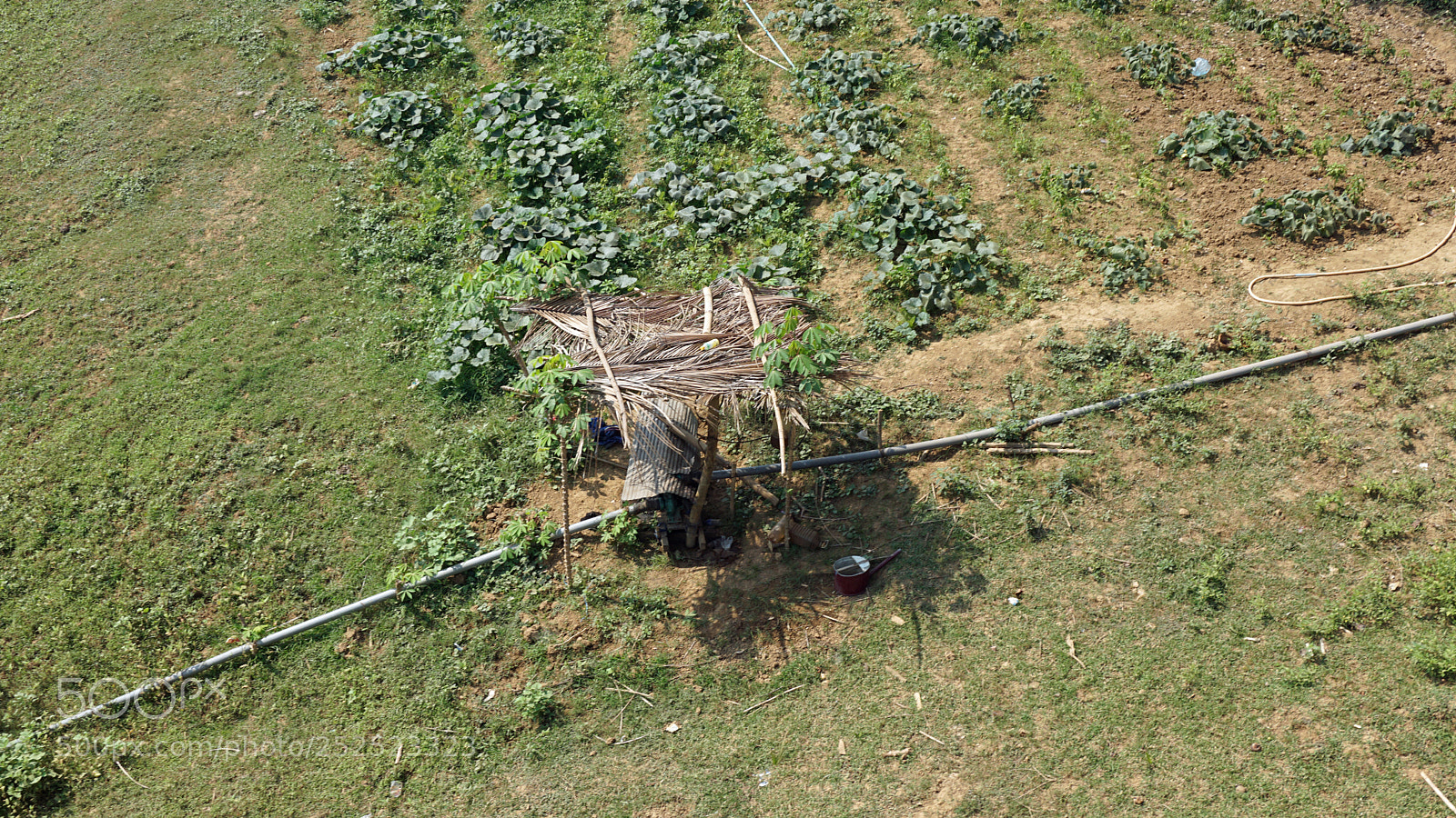 Sony a6000 sample photo. Farmland at tonle sap photography