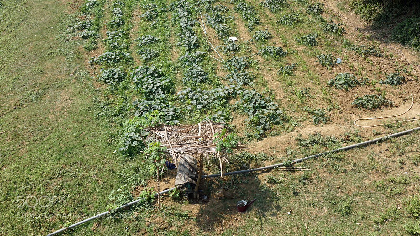 Sony a6000 sample photo. Farmland at tonle sap photography