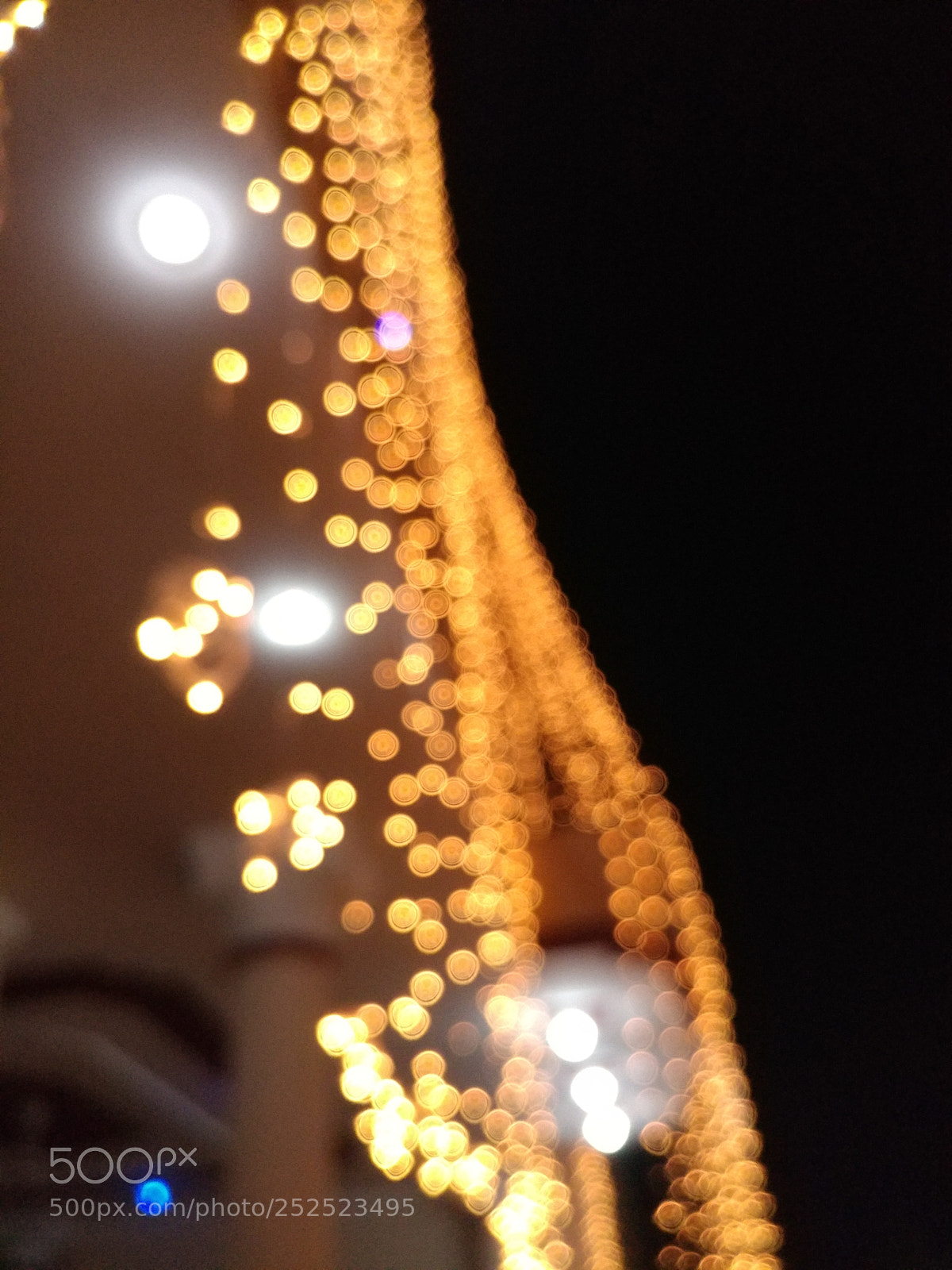 LG V20 sample photo. Bokeh photography