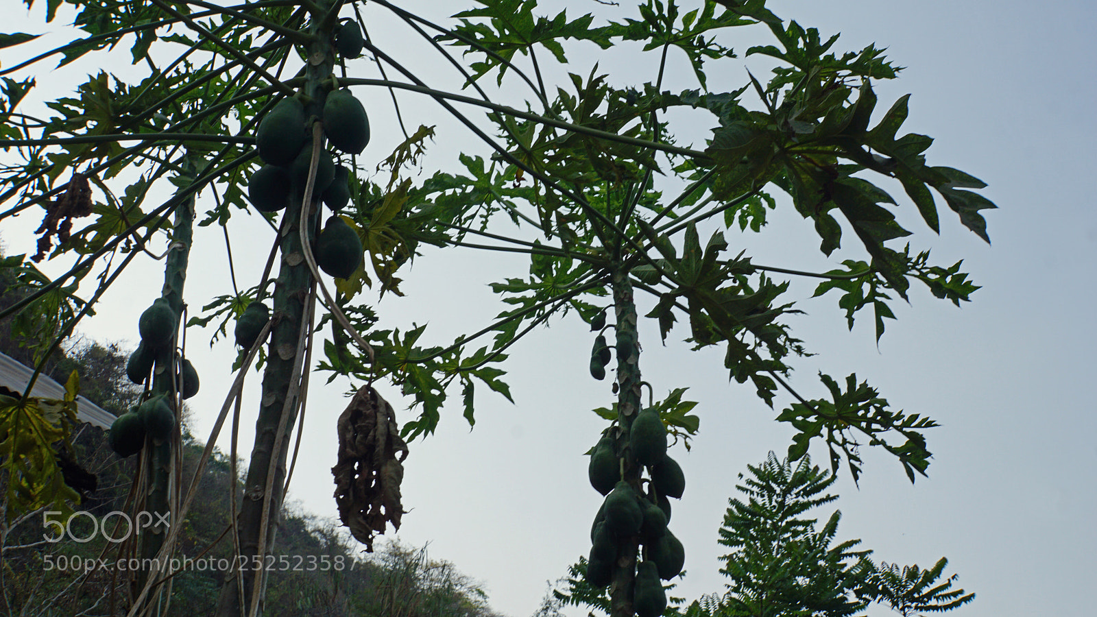 Sony a6000 sample photo. Tropical landscape photography