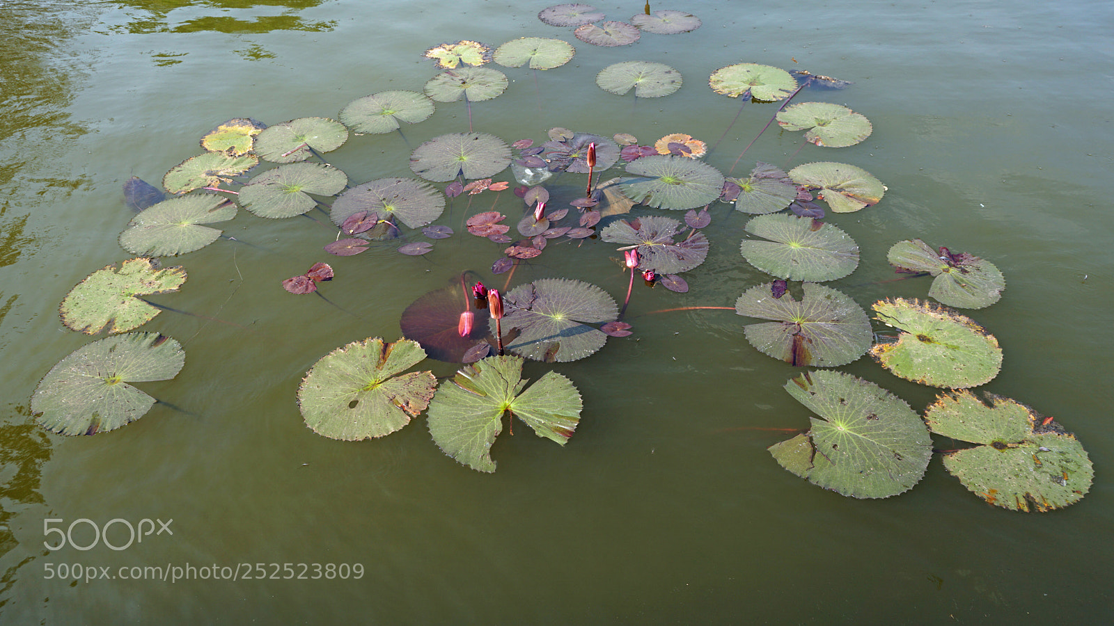 Sony a6000 sample photo. Tropical landscape photography