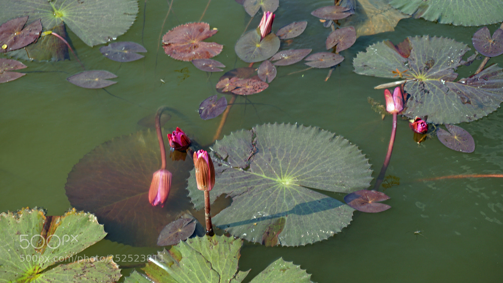 Sony a6000 sample photo. Tropical landscape photography