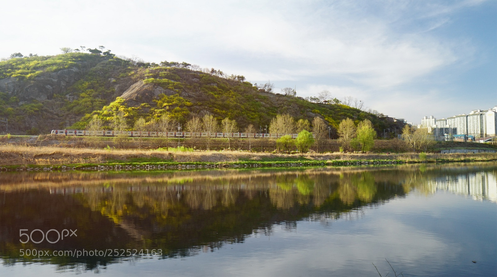 Sony Alpha a5000 (ILCE 5000) sample photo. Reflection of forsythia mt photography