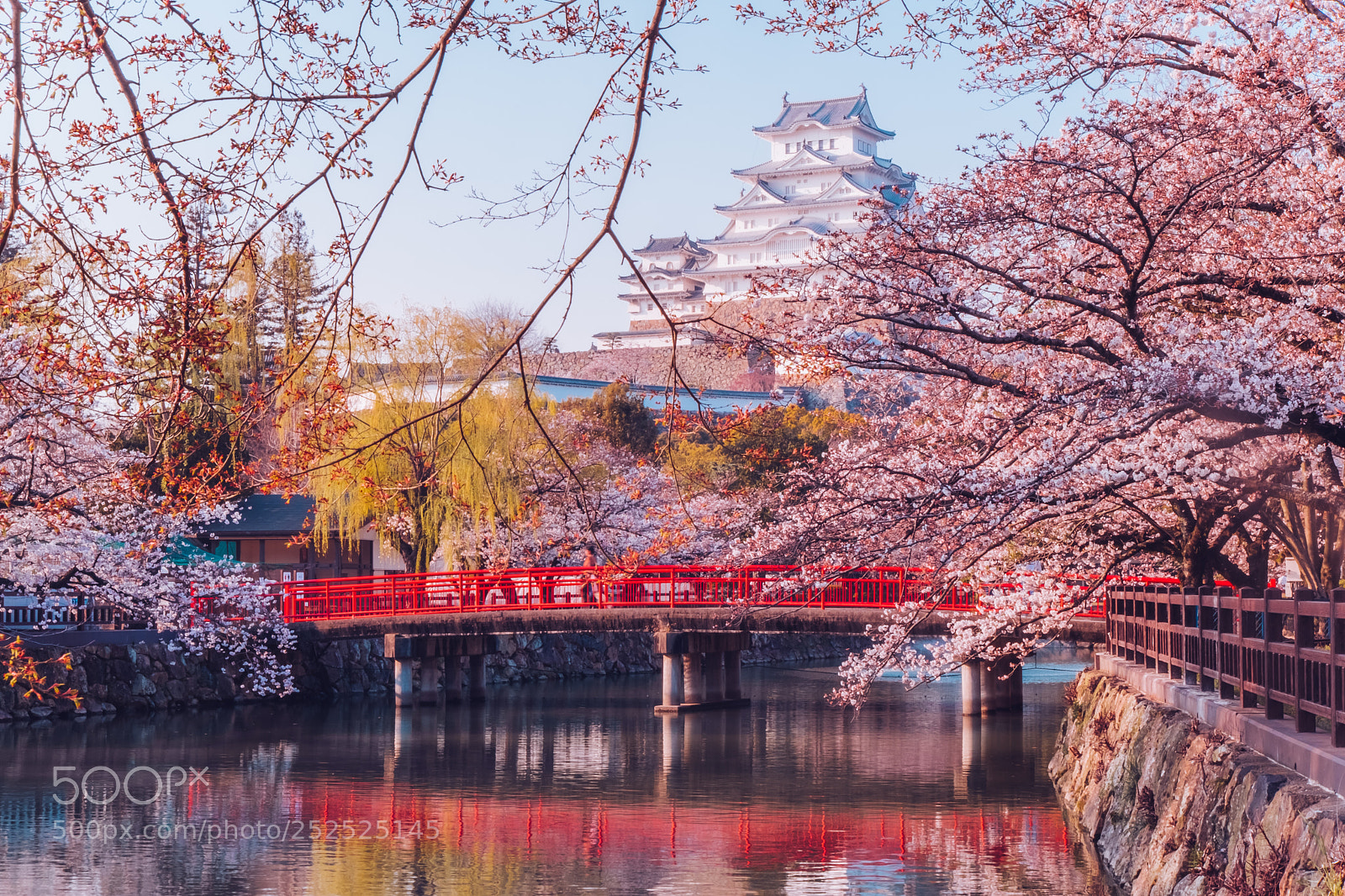 Fujifilm X-T2 sample photo. Himeji castle in cherry photography