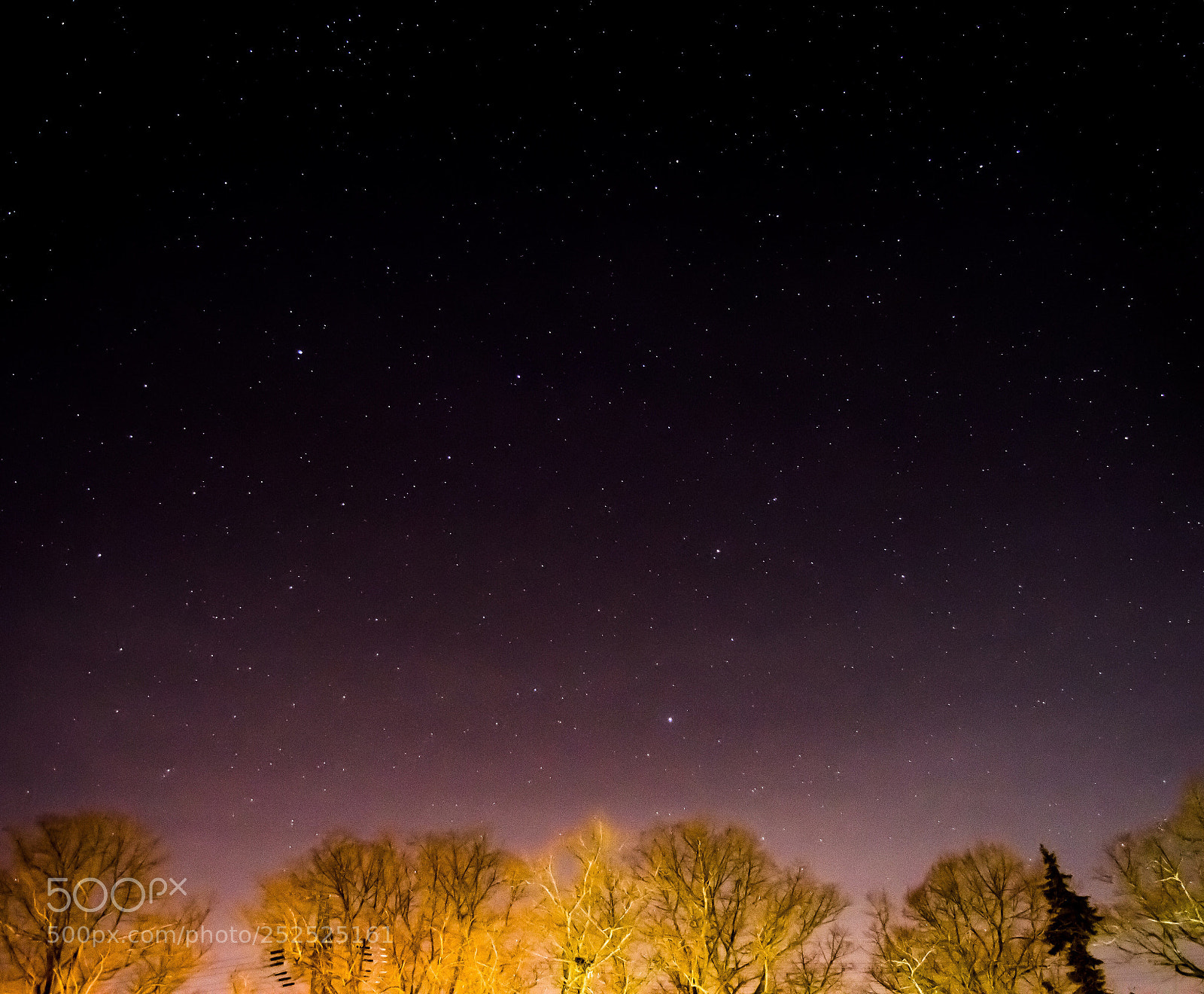 Nikon D3200 sample photo. Clear sky!  photography