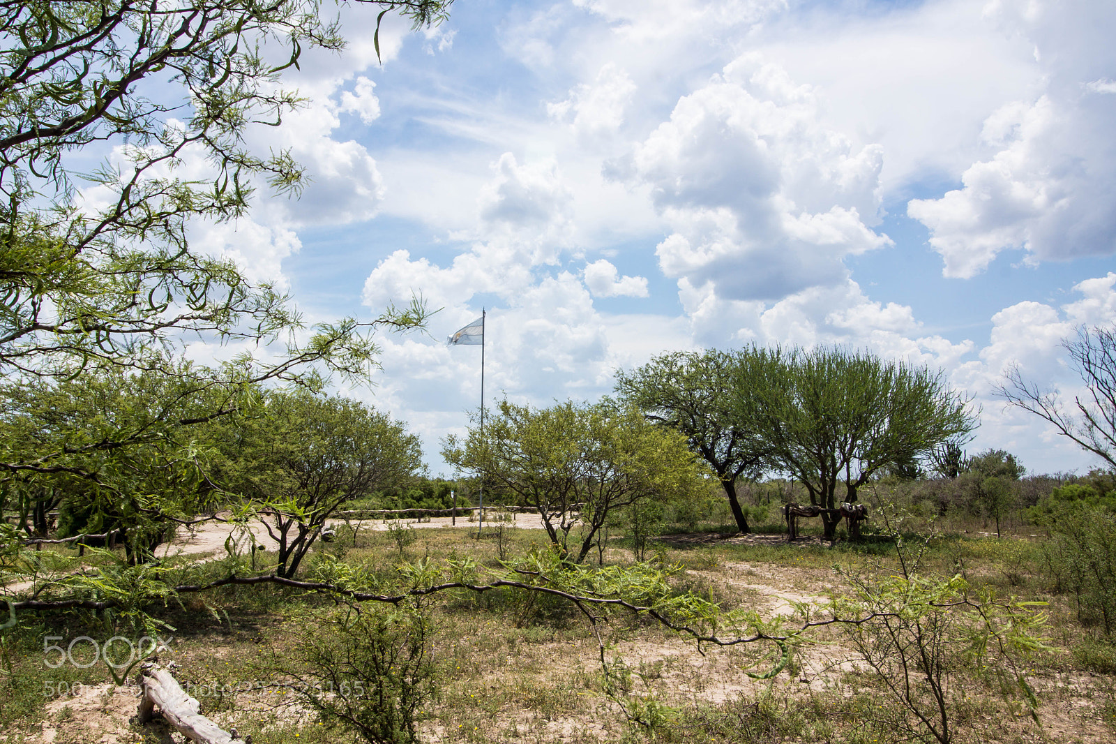 Sony Alpha NEX-7 sample photo. Los quebrachos... photography