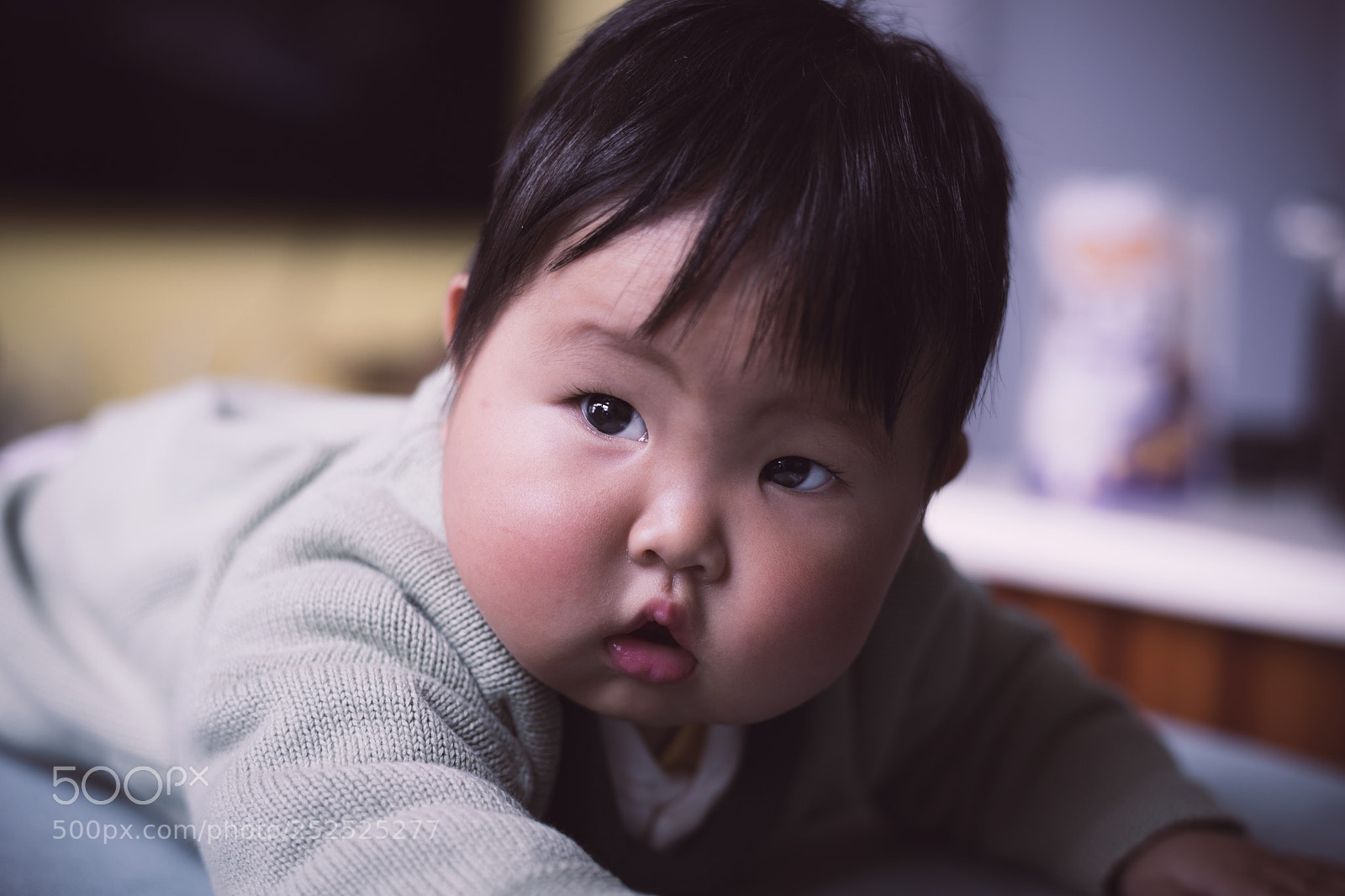Canon EOS 6D Mark II sample photo. 胖嘟嘟 photography