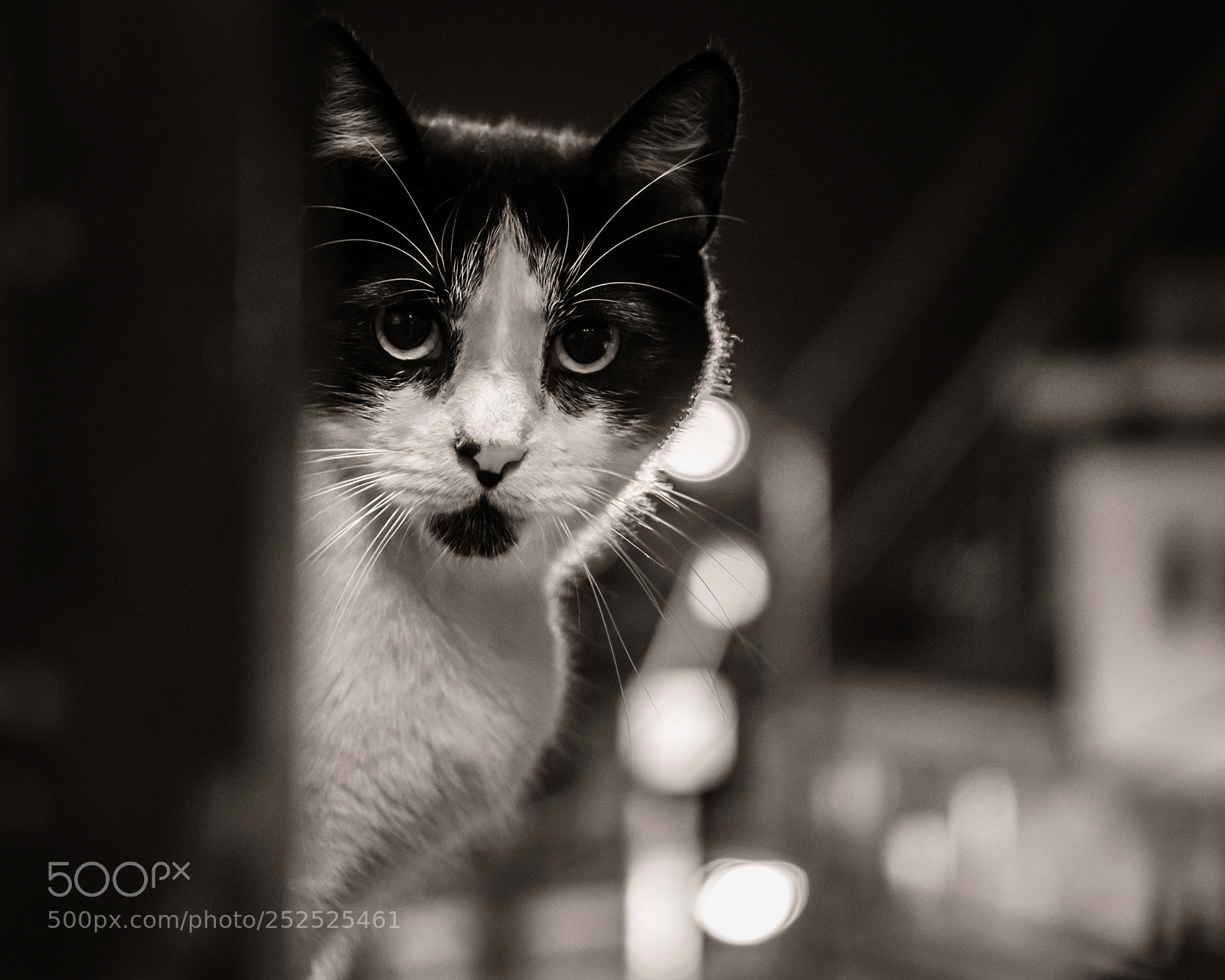Fujifilm X-T20 sample photo. Untitled photography