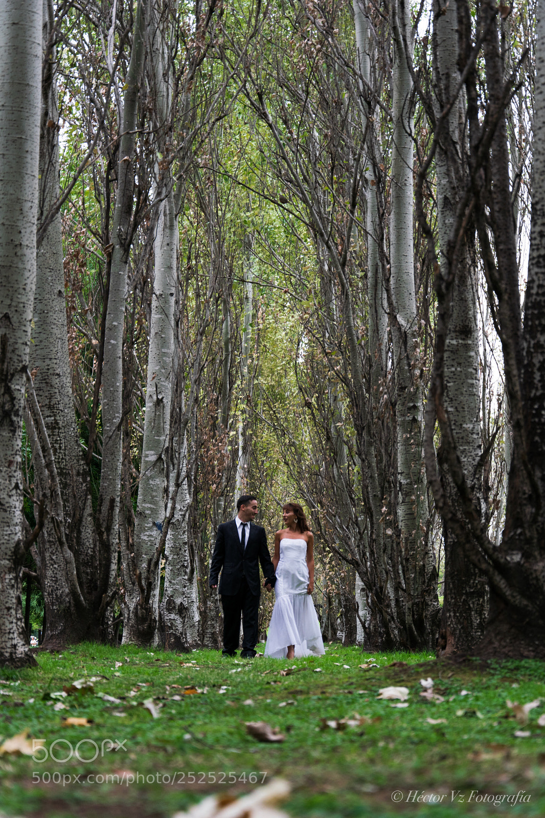 Nikon D5300 sample photo. Just married photography