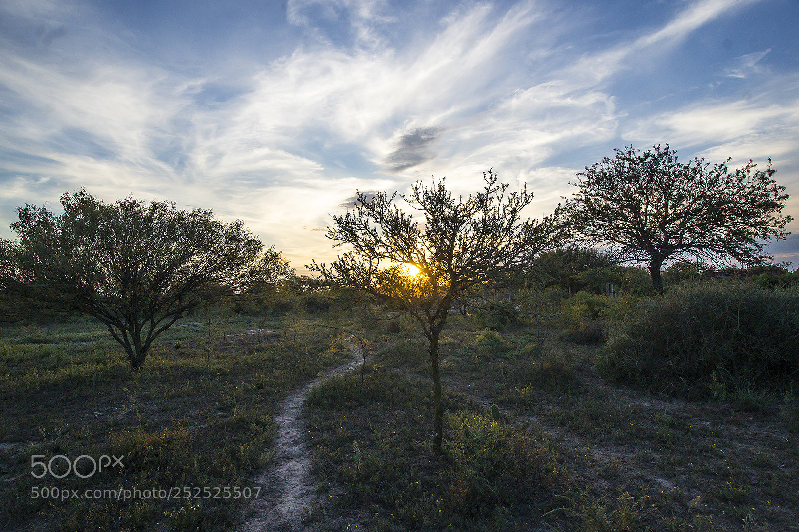 Sony Alpha NEX-7 sample photo. Amanecer... photography