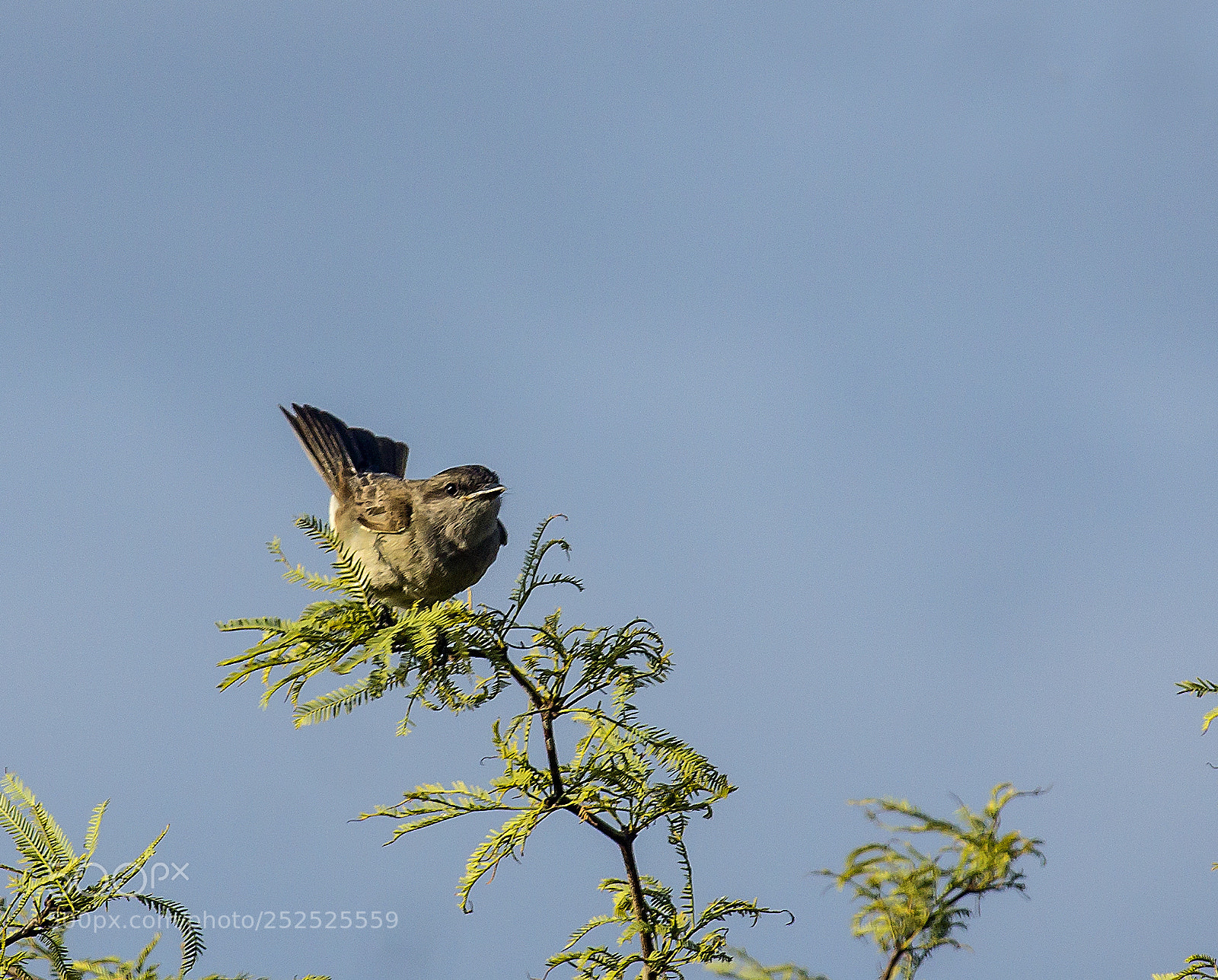 Sony Alpha NEX-7 sample photo. ... photography