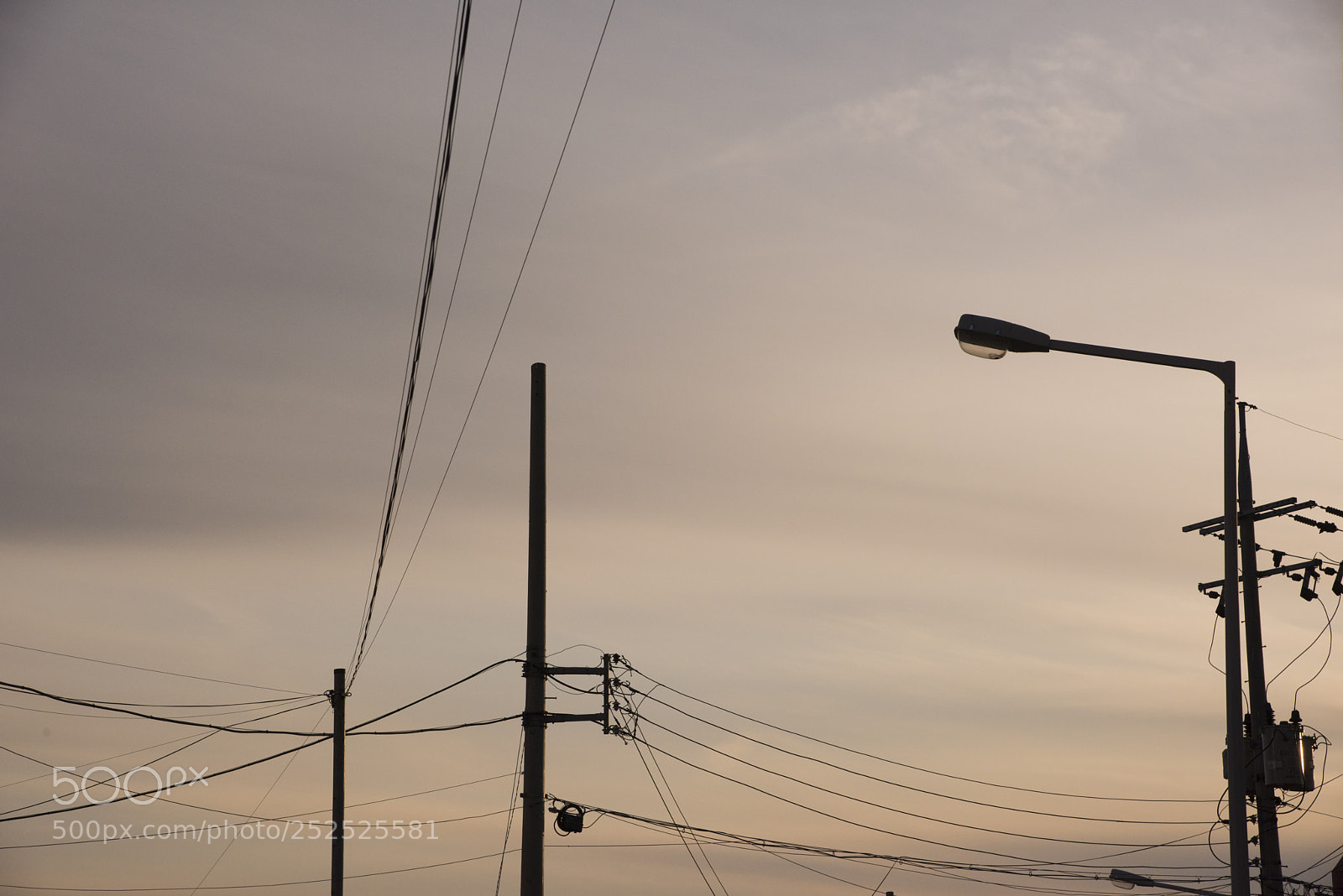 Nikon D810 sample photo. Dimness photography