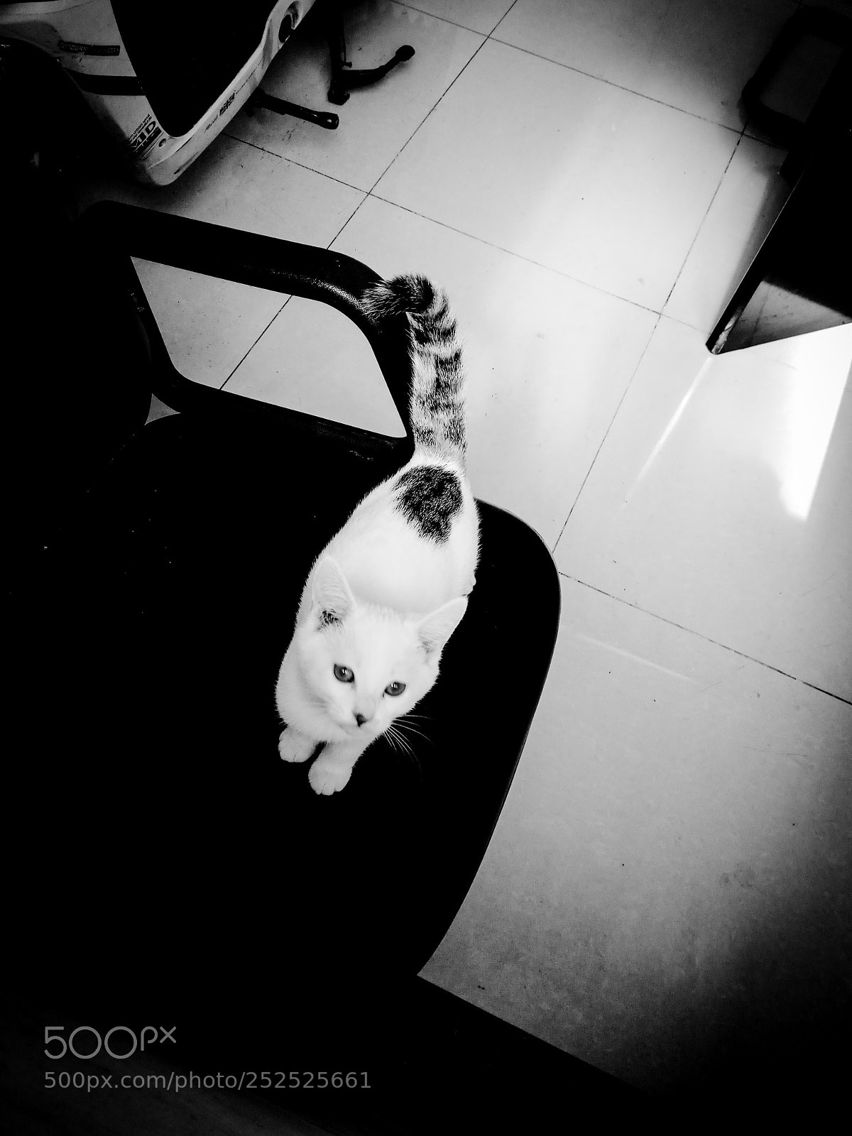 Xiaomi Redmi Note 4X sample photo. Untitled photography