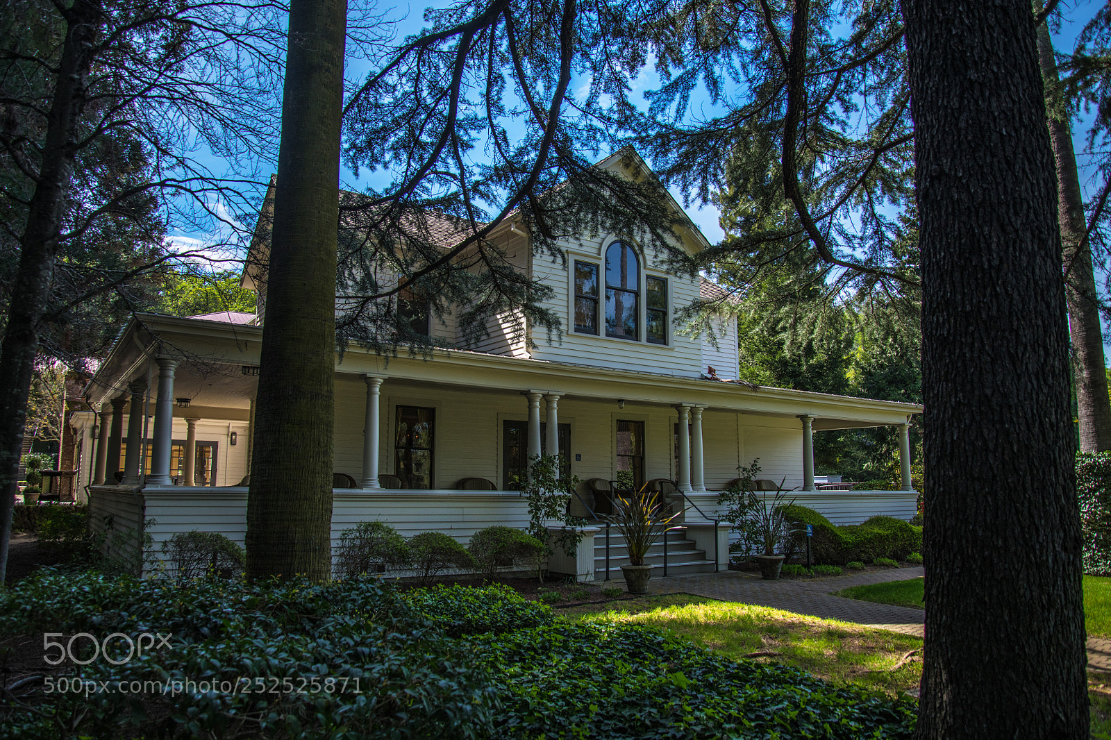 Nikon D850 sample photo. Behringer winery photography