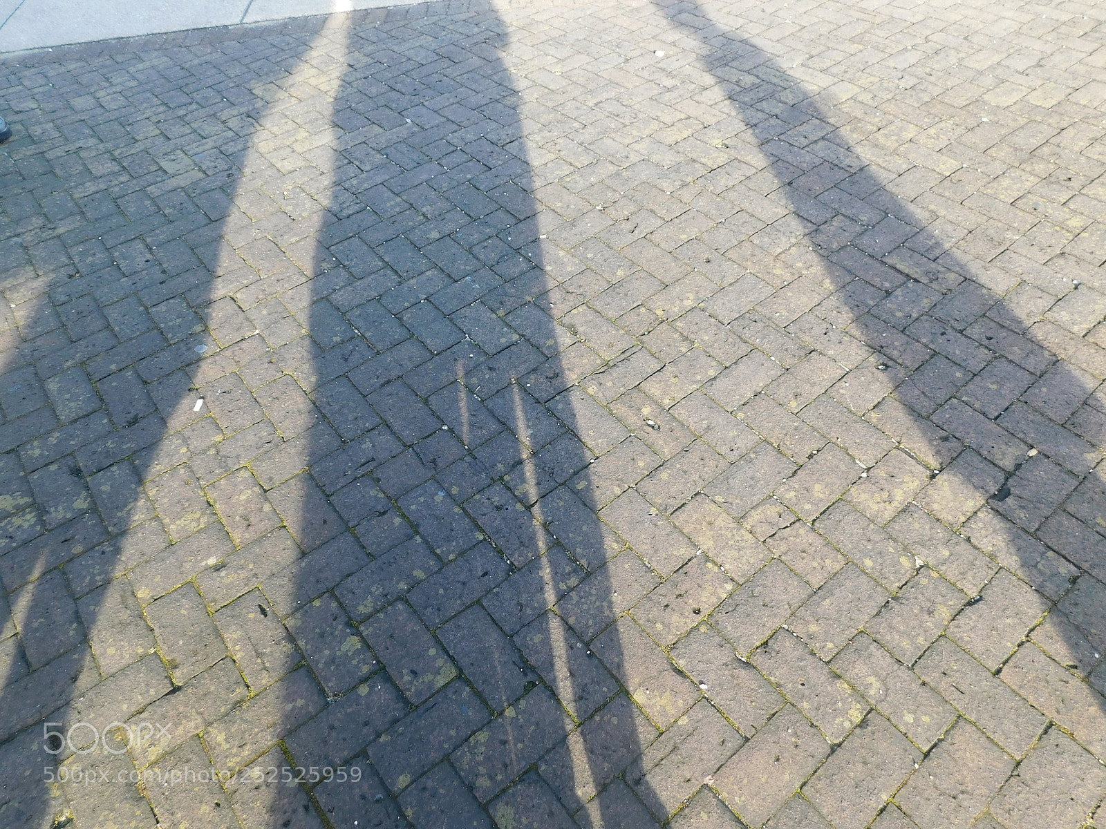 Nikon Coolpix B500 sample photo. Shadow walk photography