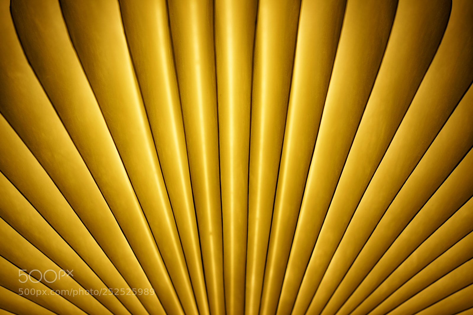 Sony a7R sample photo. Neon ceiling...? photography