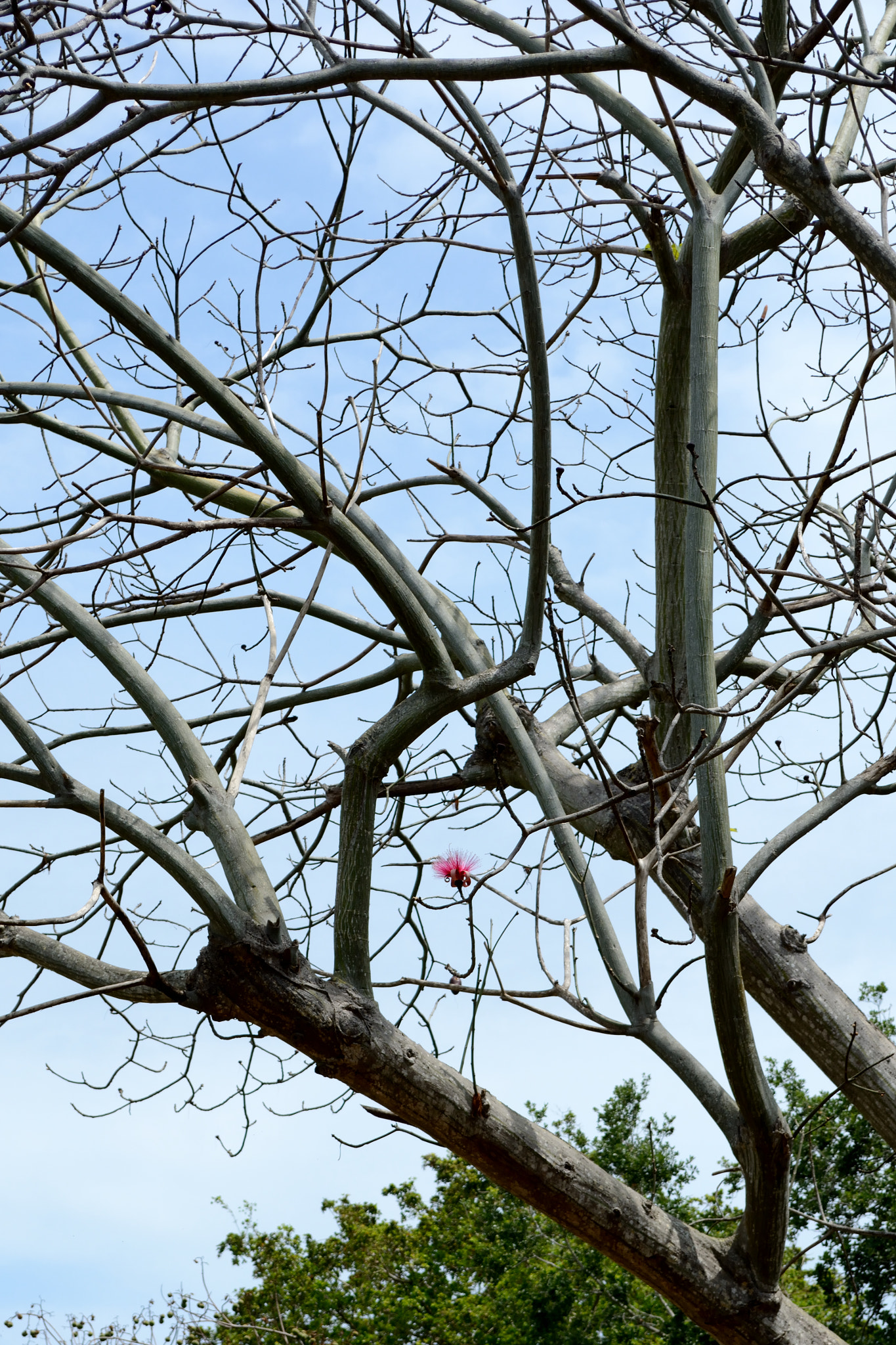 Nikon D7100 sample photo. Hope photography